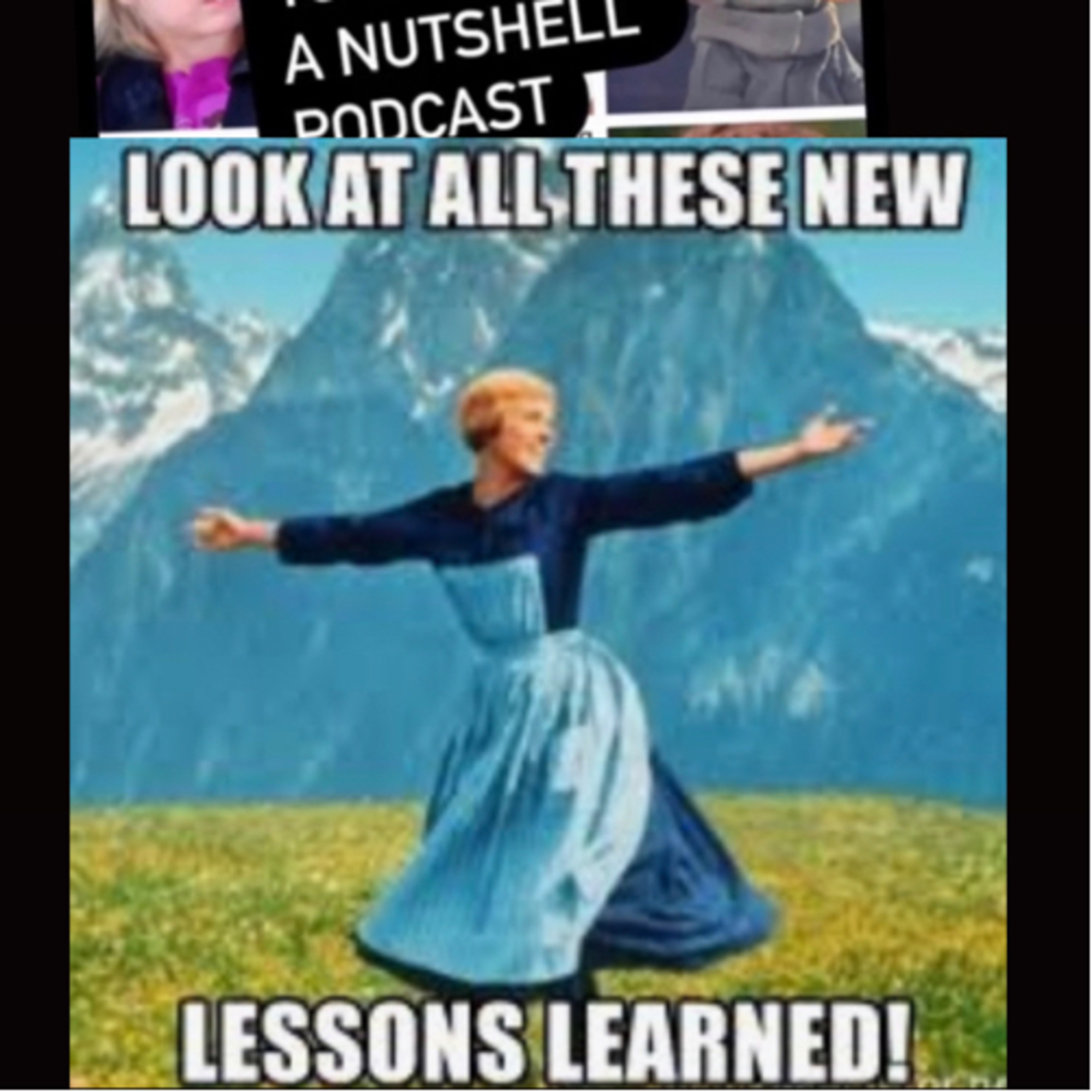 What I meme to say...a nutshell podcast