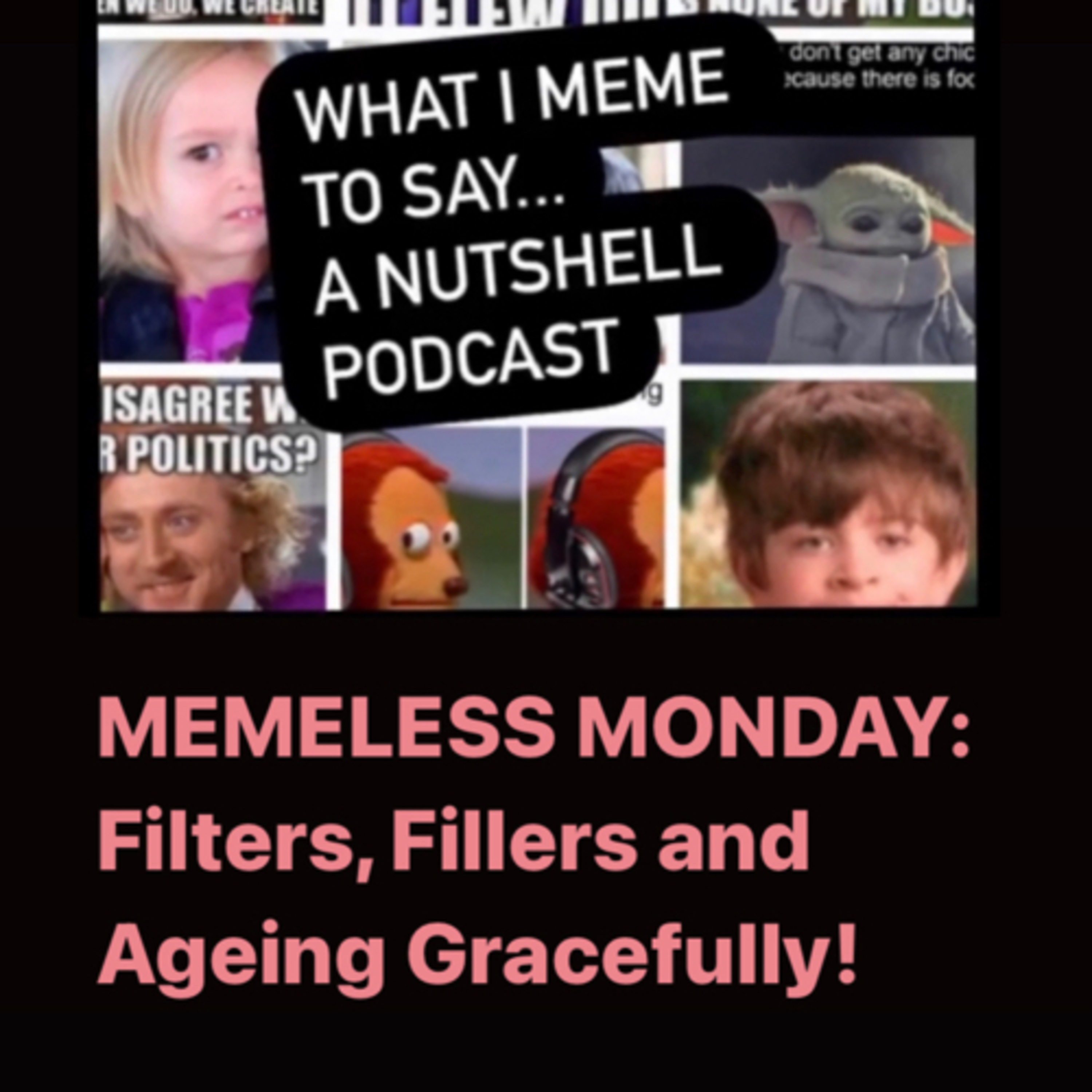 What I meme to say...a nutshell podcast