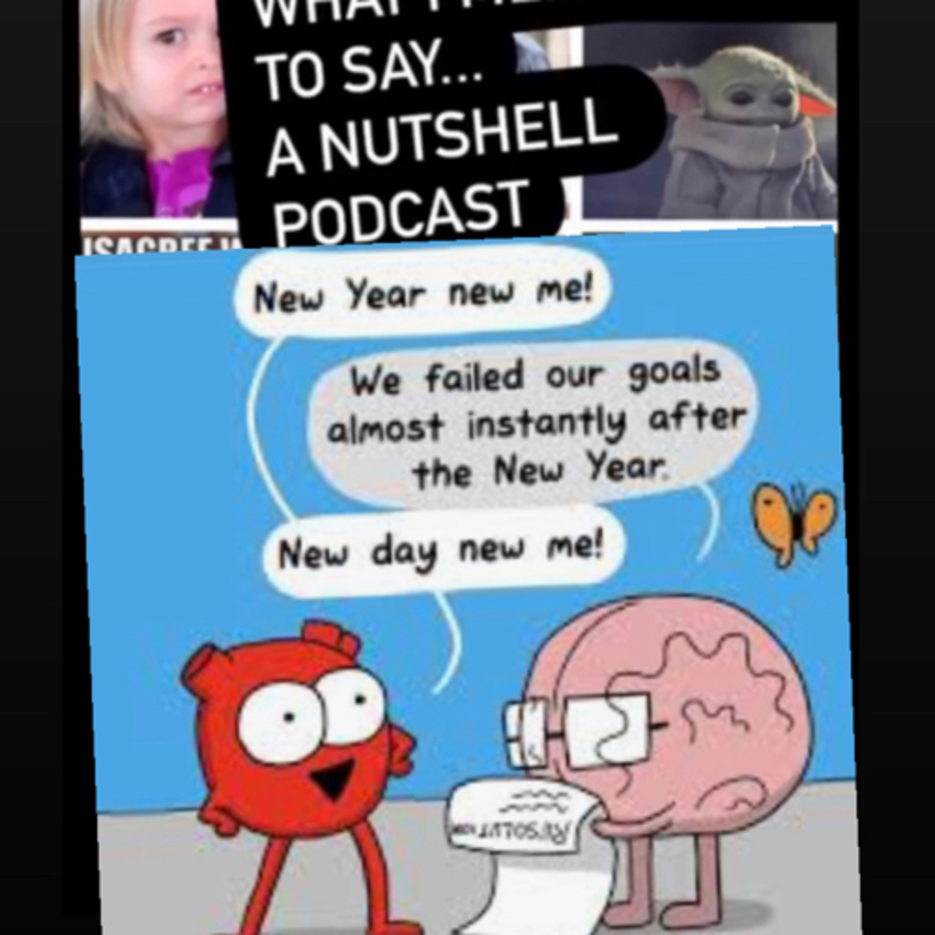 What I meme to say...a nutshell podcast