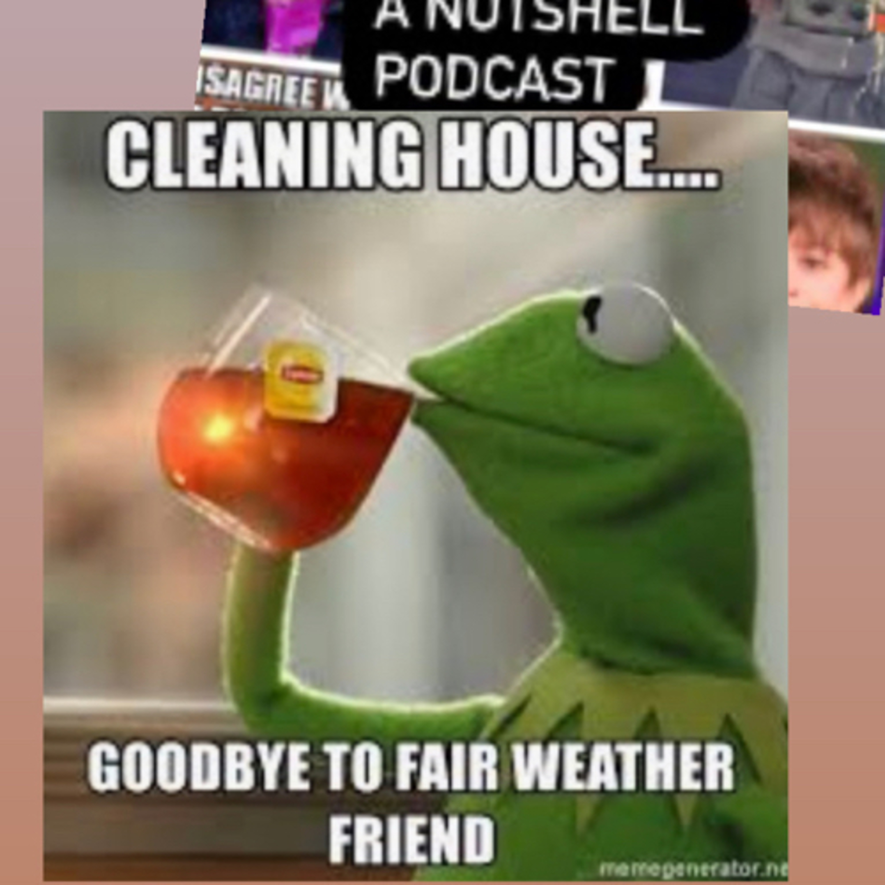 What I meme to say...a nutshell podcast