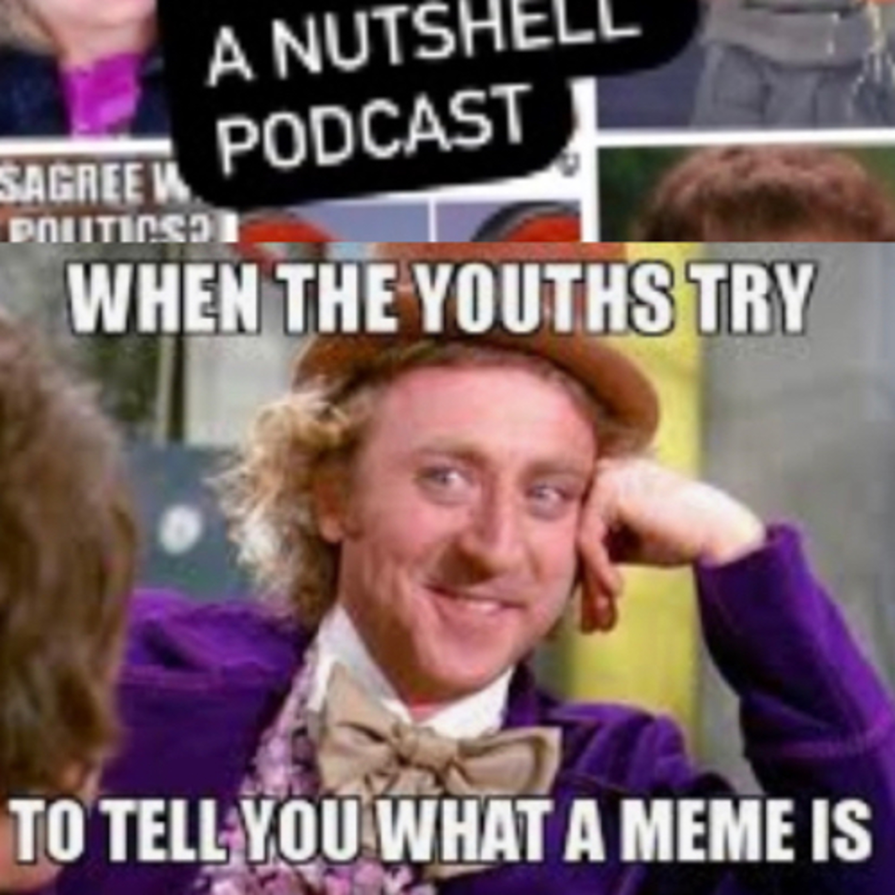 What I meme to say...a nutshell podcast