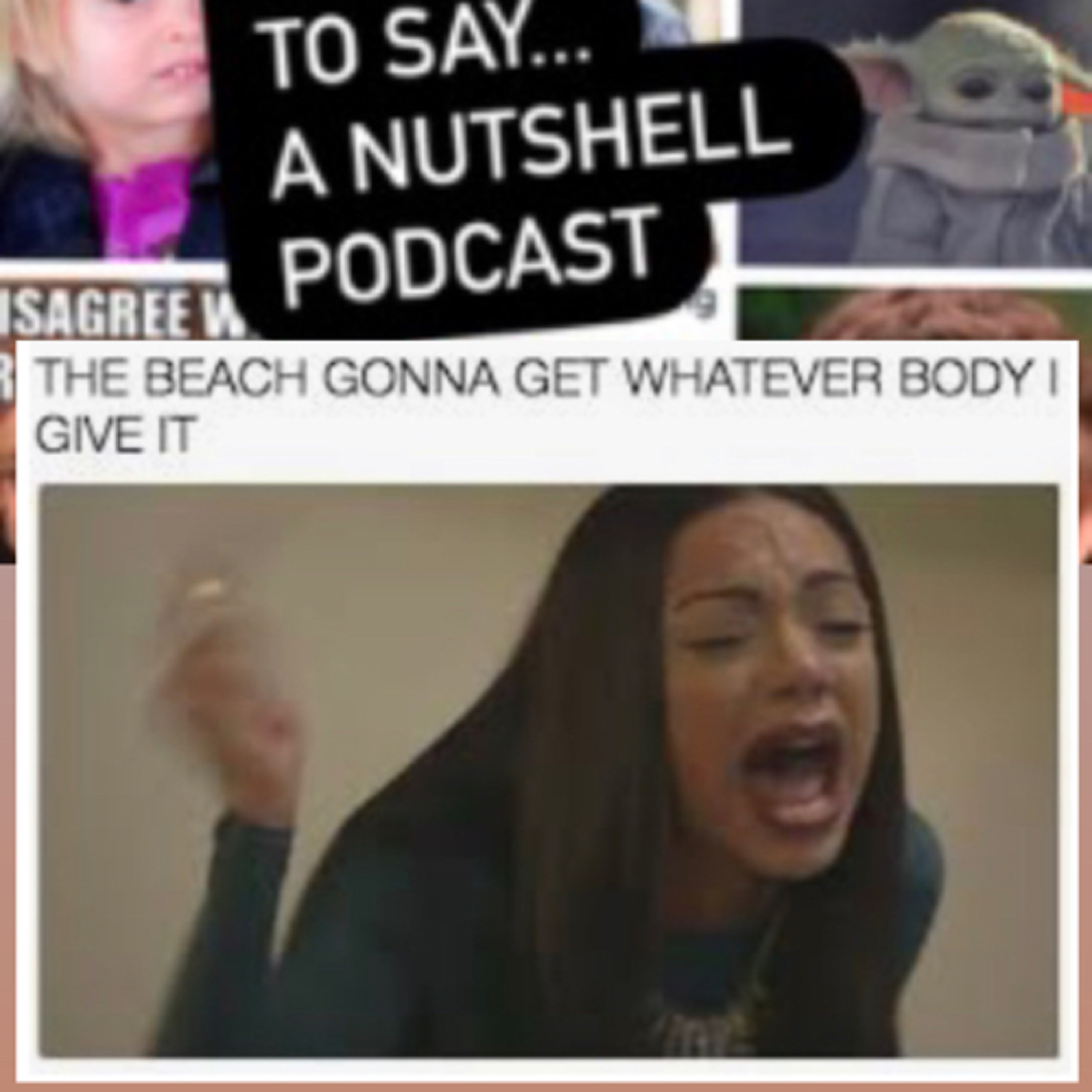 What I meme to say...a nutshell podcast