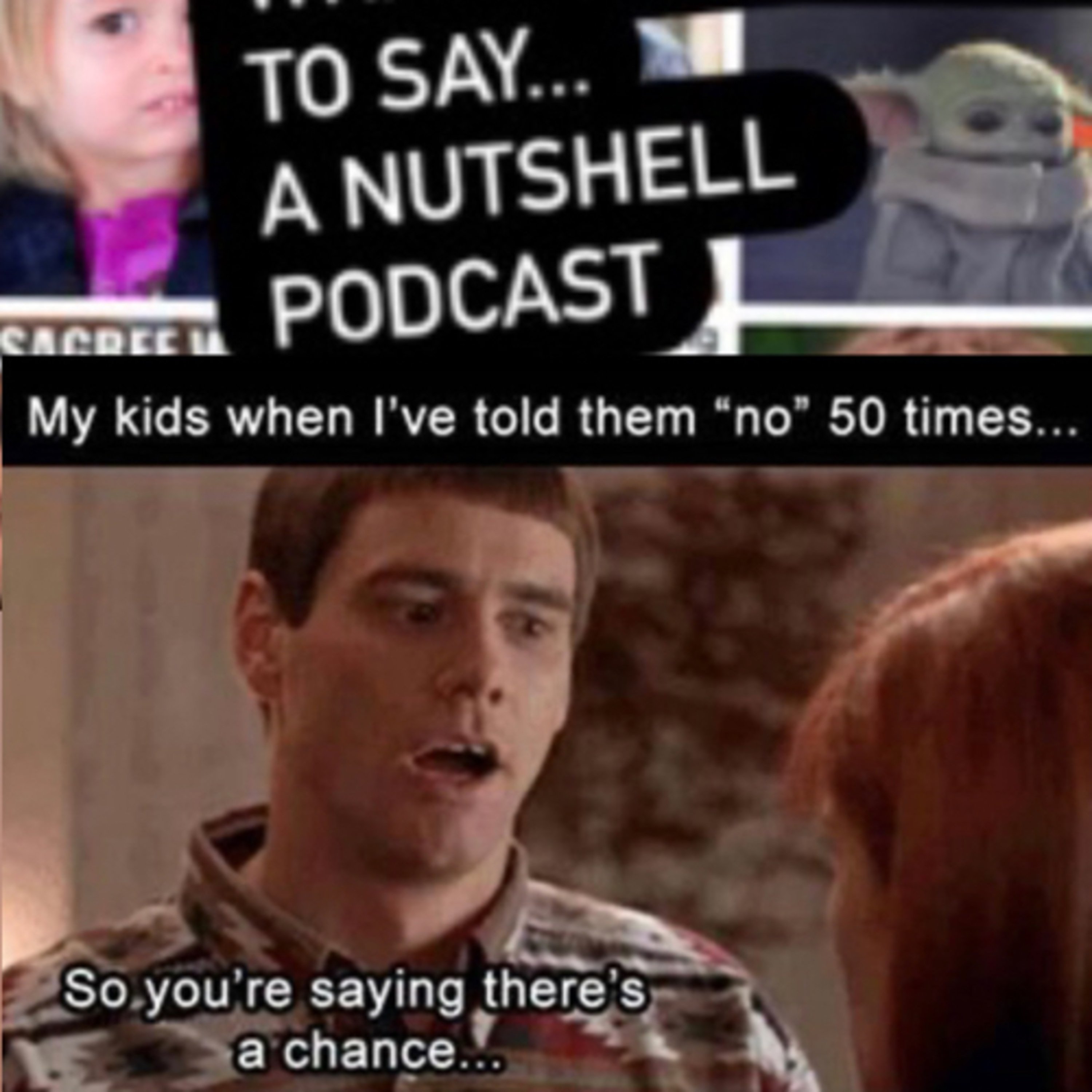 What I meme to say...a nutshell podcast