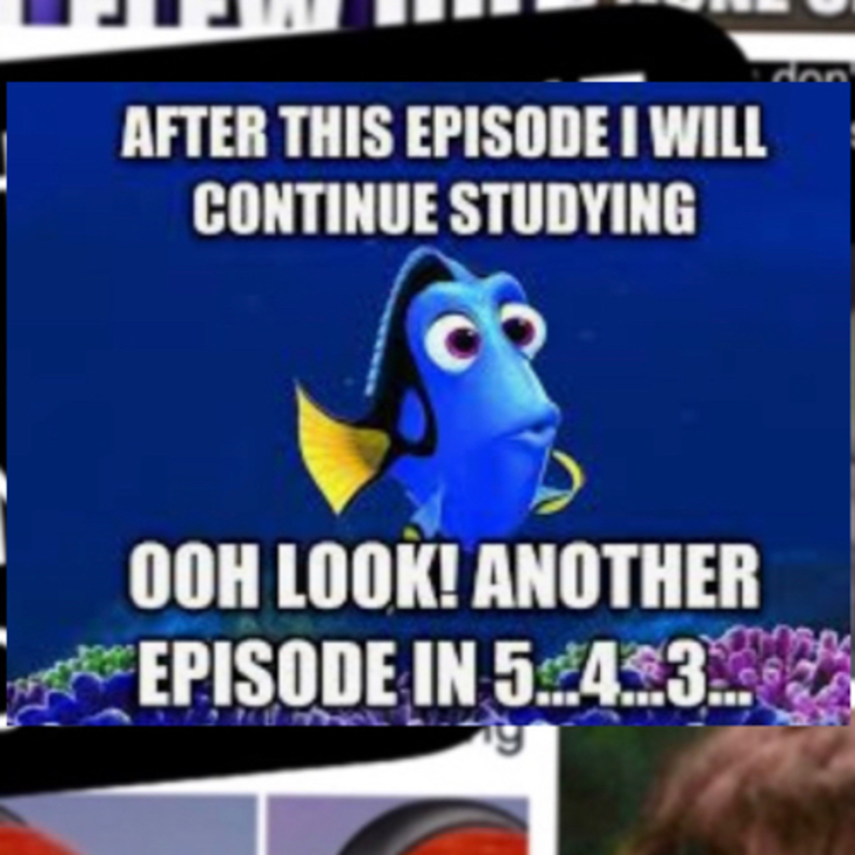 What I meme to say...a nutshell podcast
