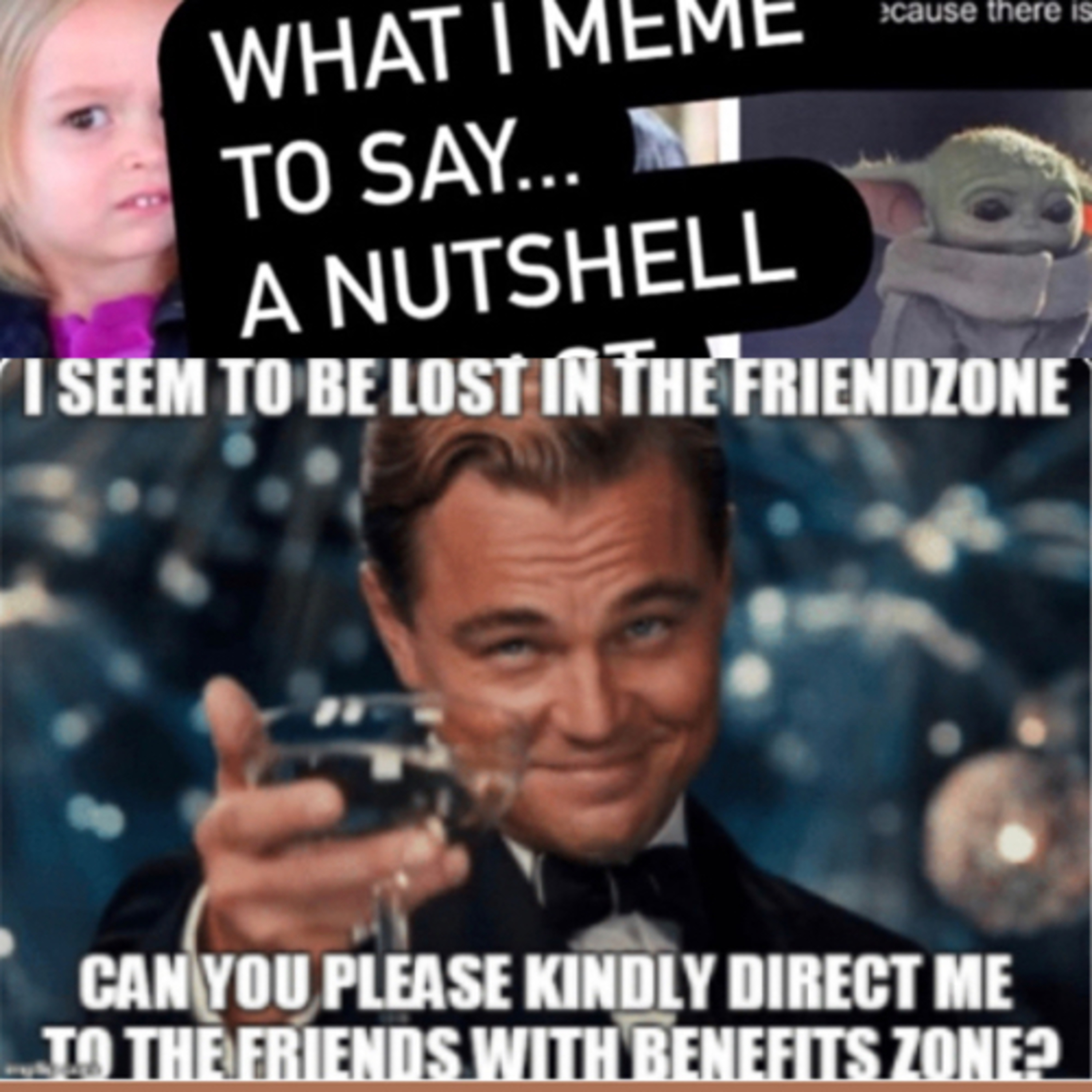 What I meme to say...a nutshell podcast