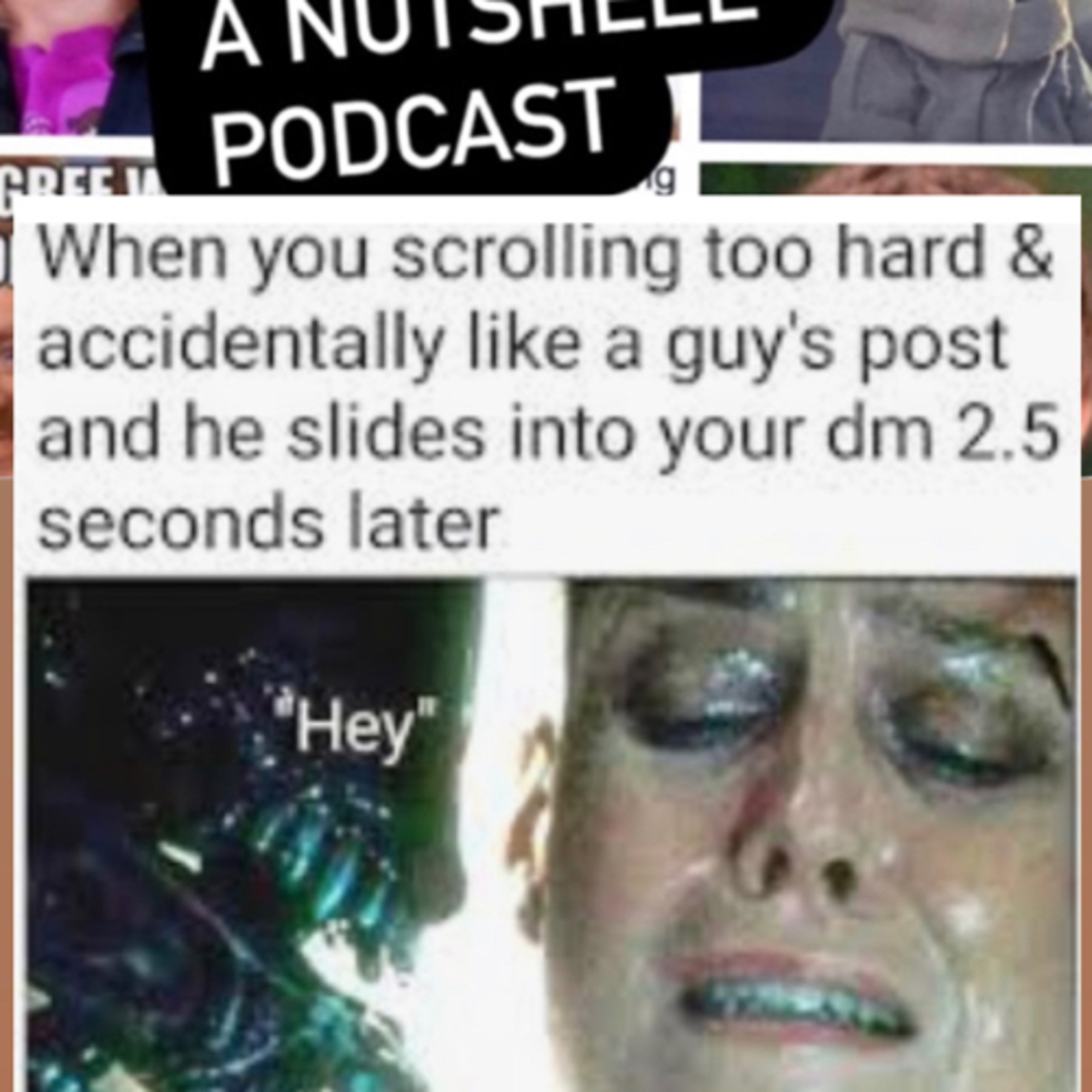 What I meme to say...a nutshell podcast