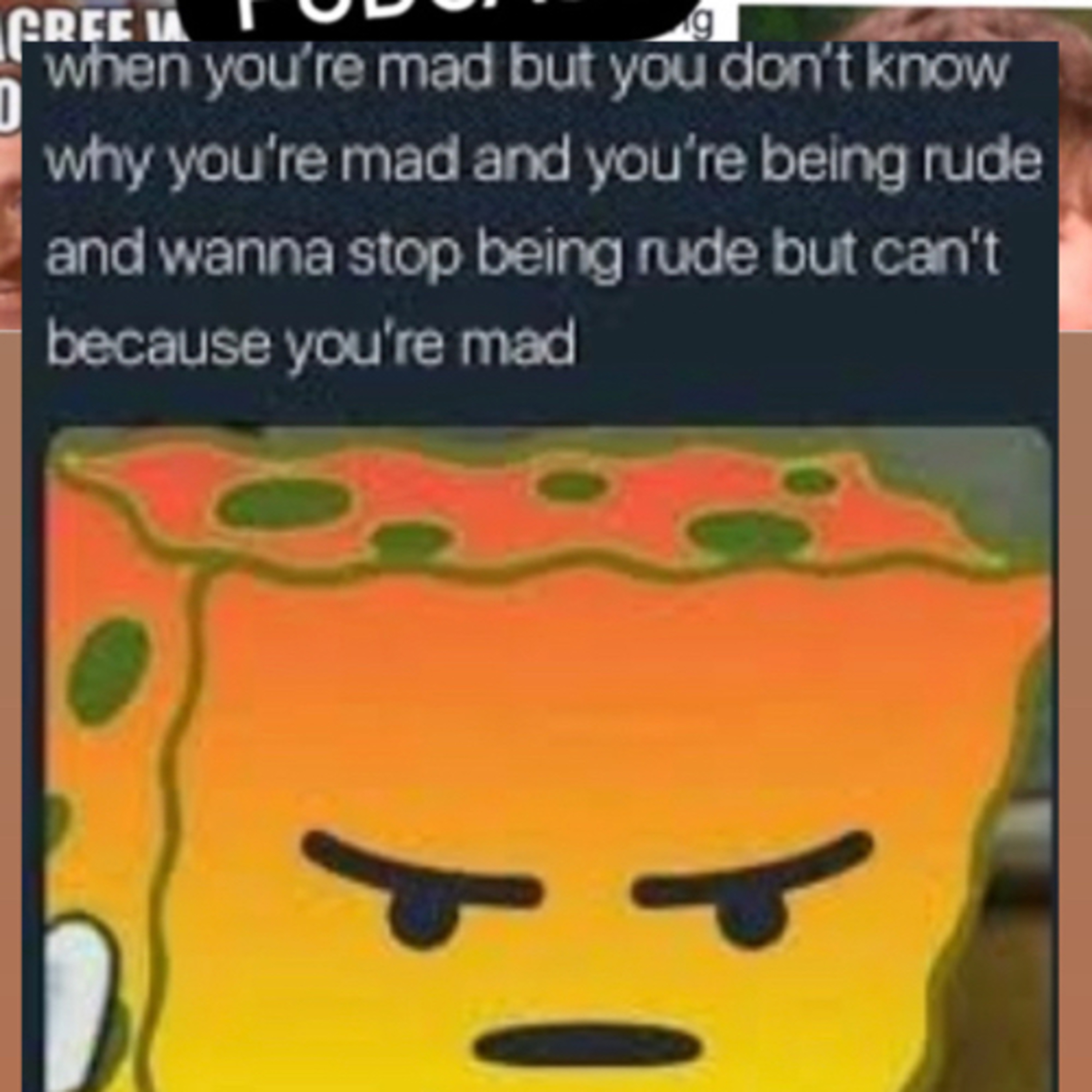 What I meme to say...a nutshell podcast