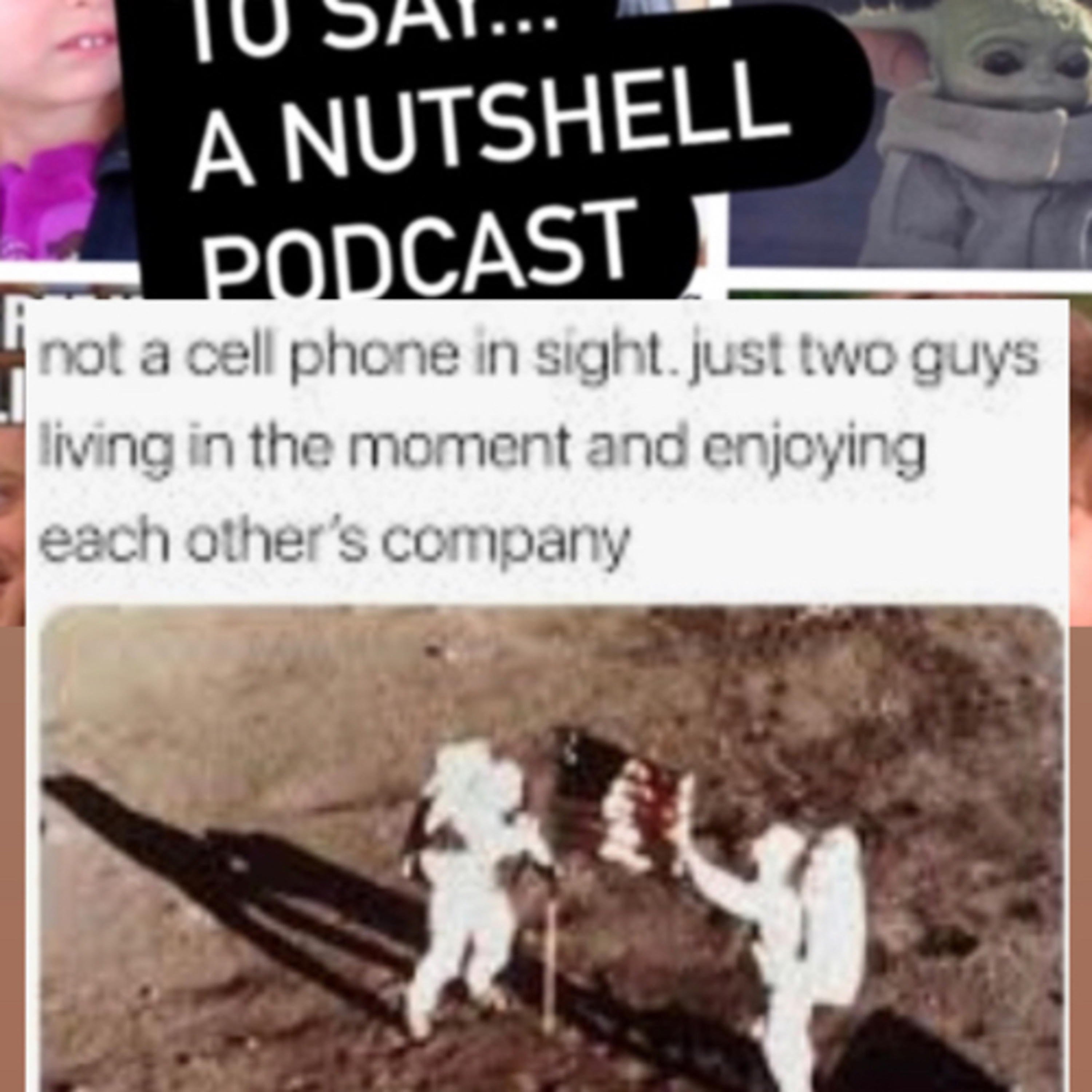 What I meme to say...a nutshell podcast
