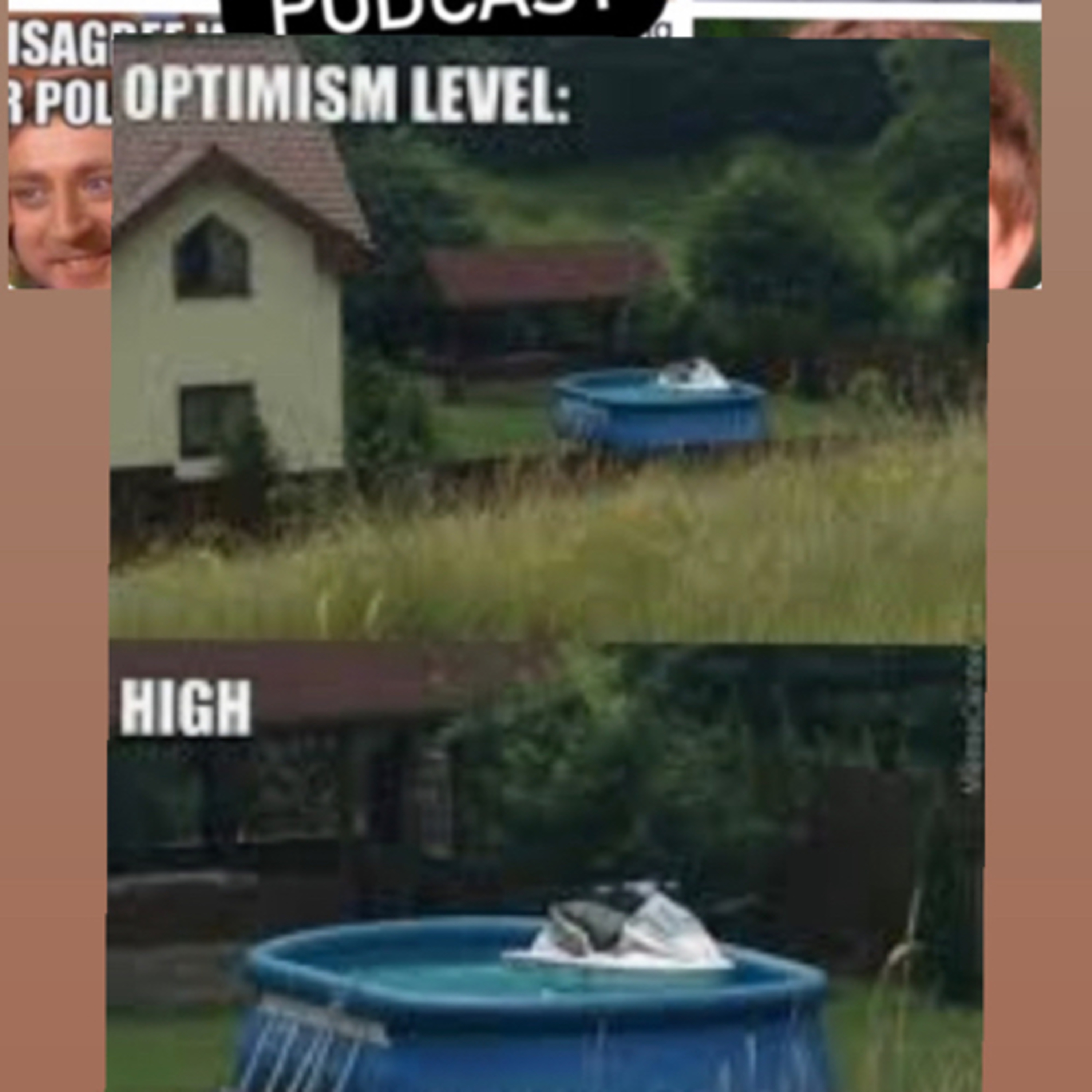 What I meme to say...a nutshell podcast