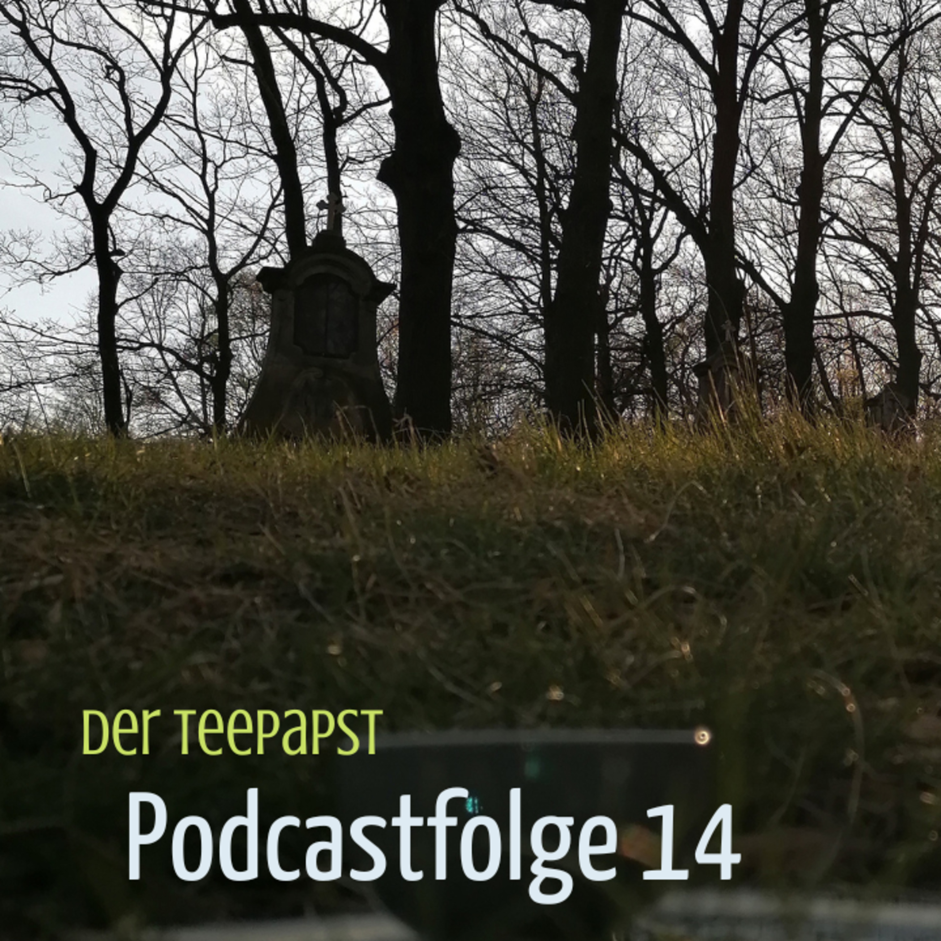 Das Geheimnis des Tees