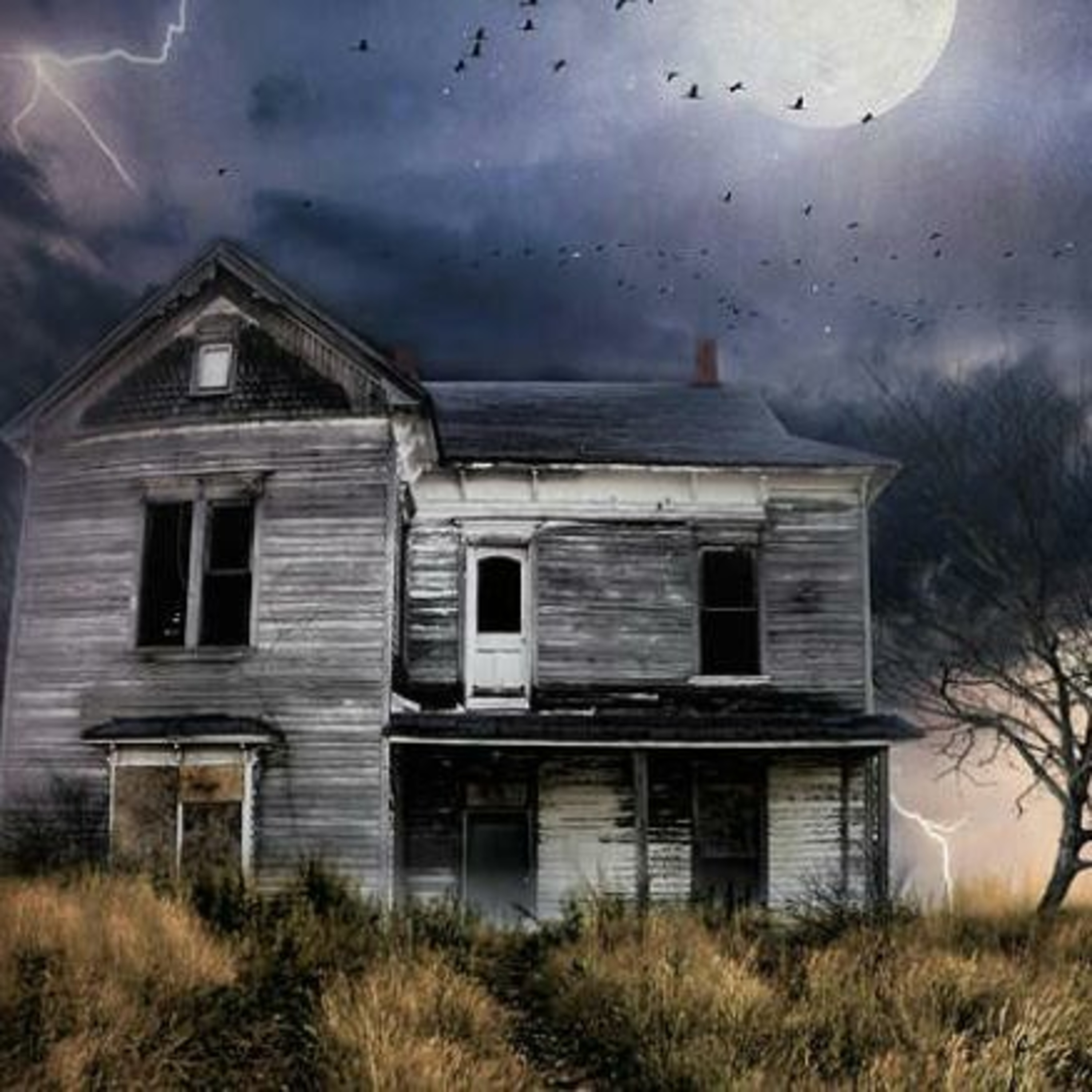 An Abandoned House