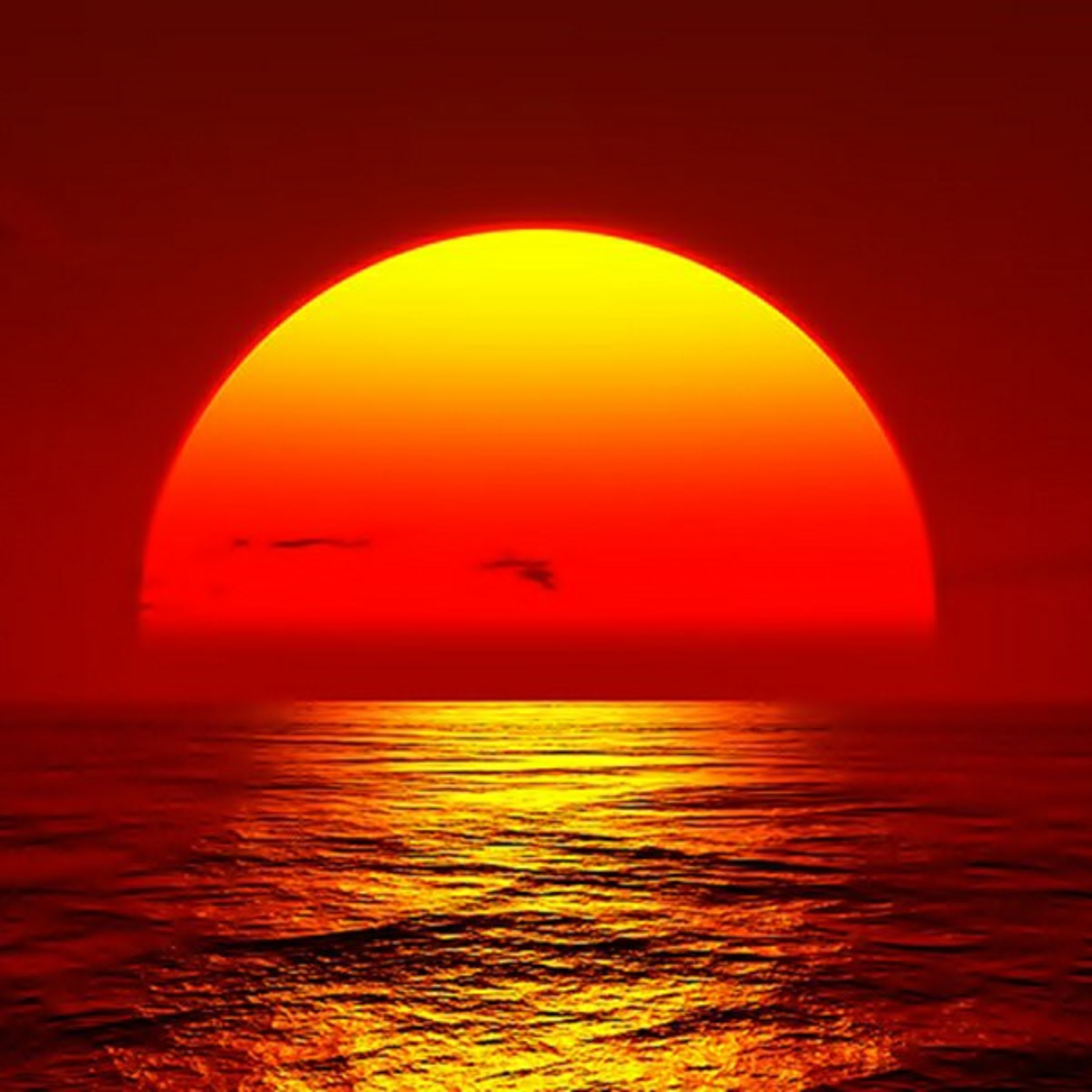 İçinde Patlayanlar episode artwork