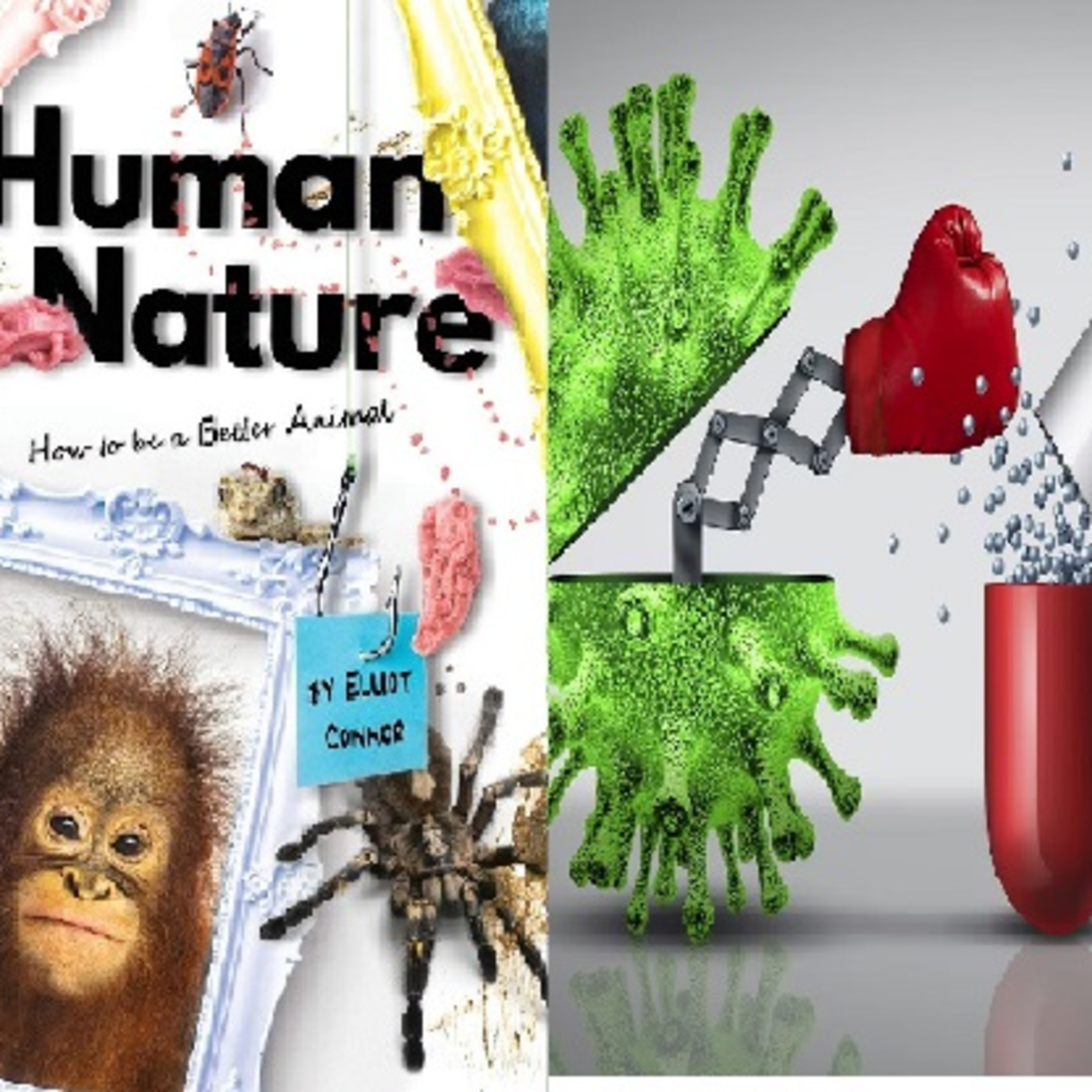 The Other Animals