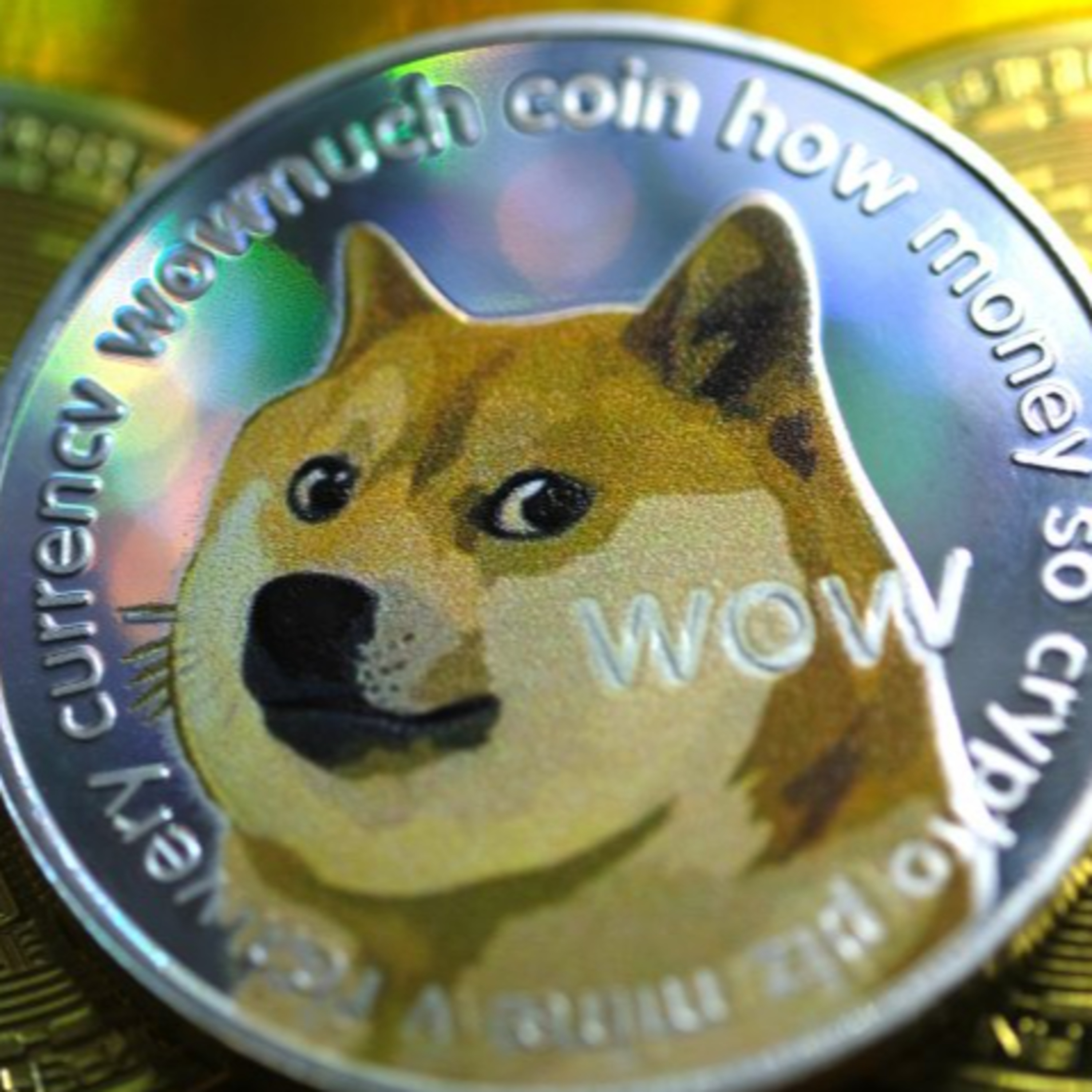 Dogecoin Update (Rise and Fall) Reverse The Universe Podcast Brief  episode artwork