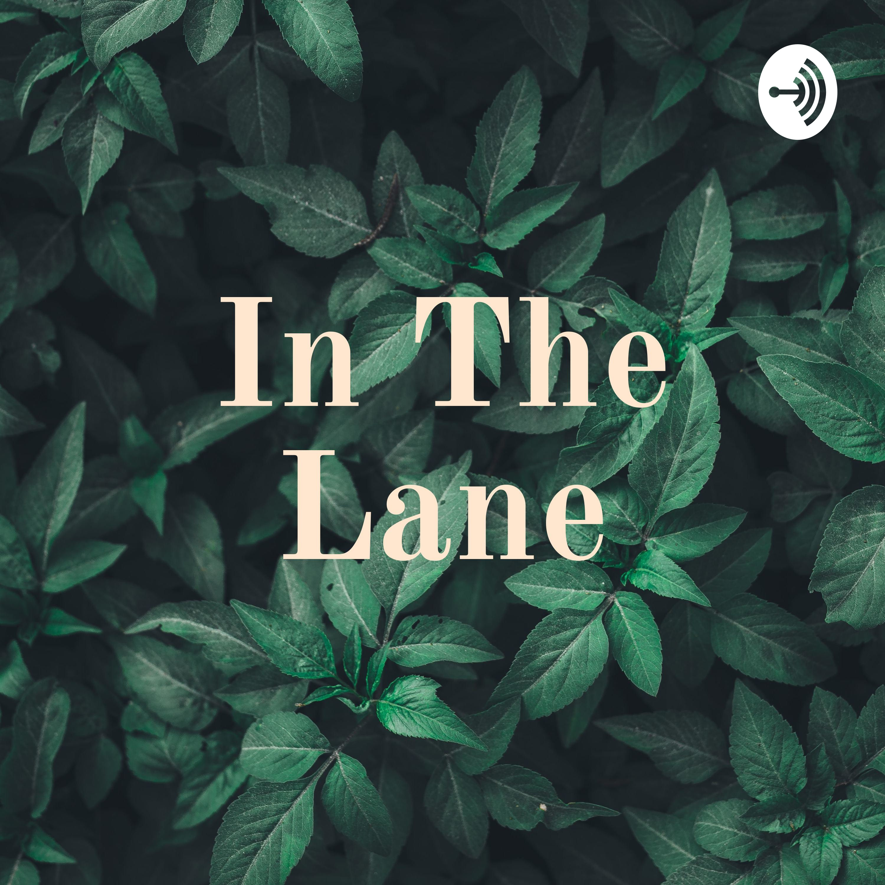 In The Lane- A Miami Heat/NBA Podcast