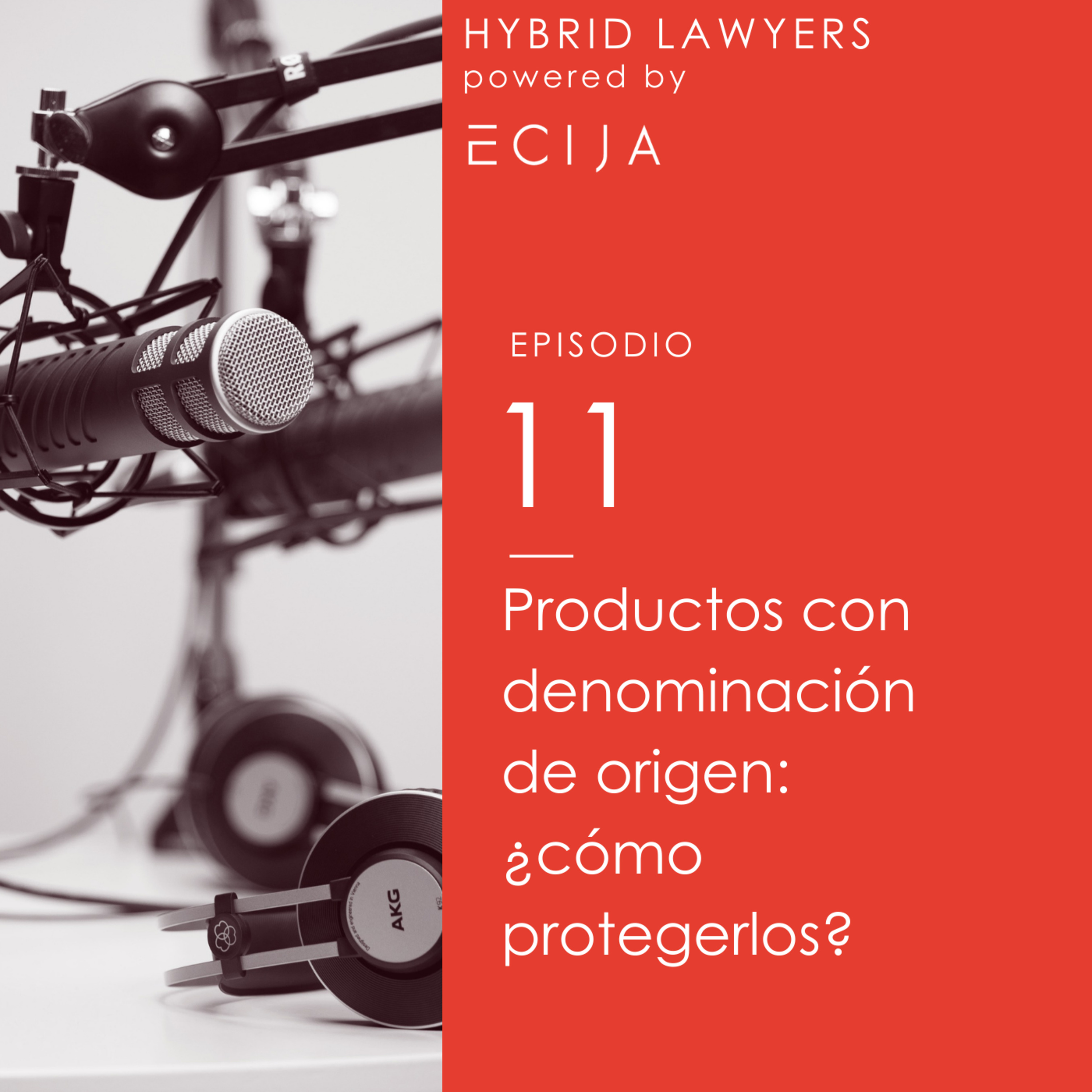 Hybrid Lawyers powered by ECIJA