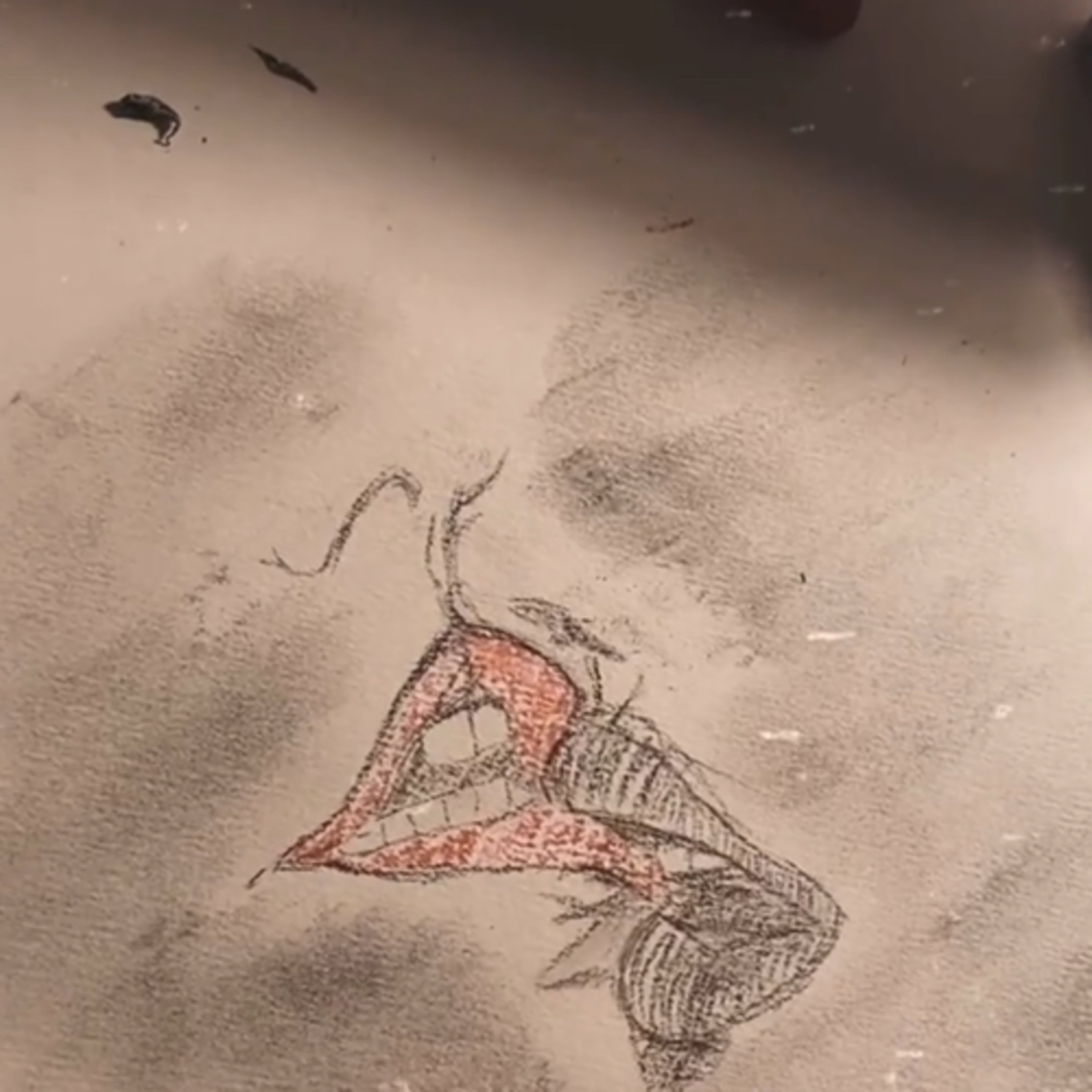 08.01.2021 episode artwork