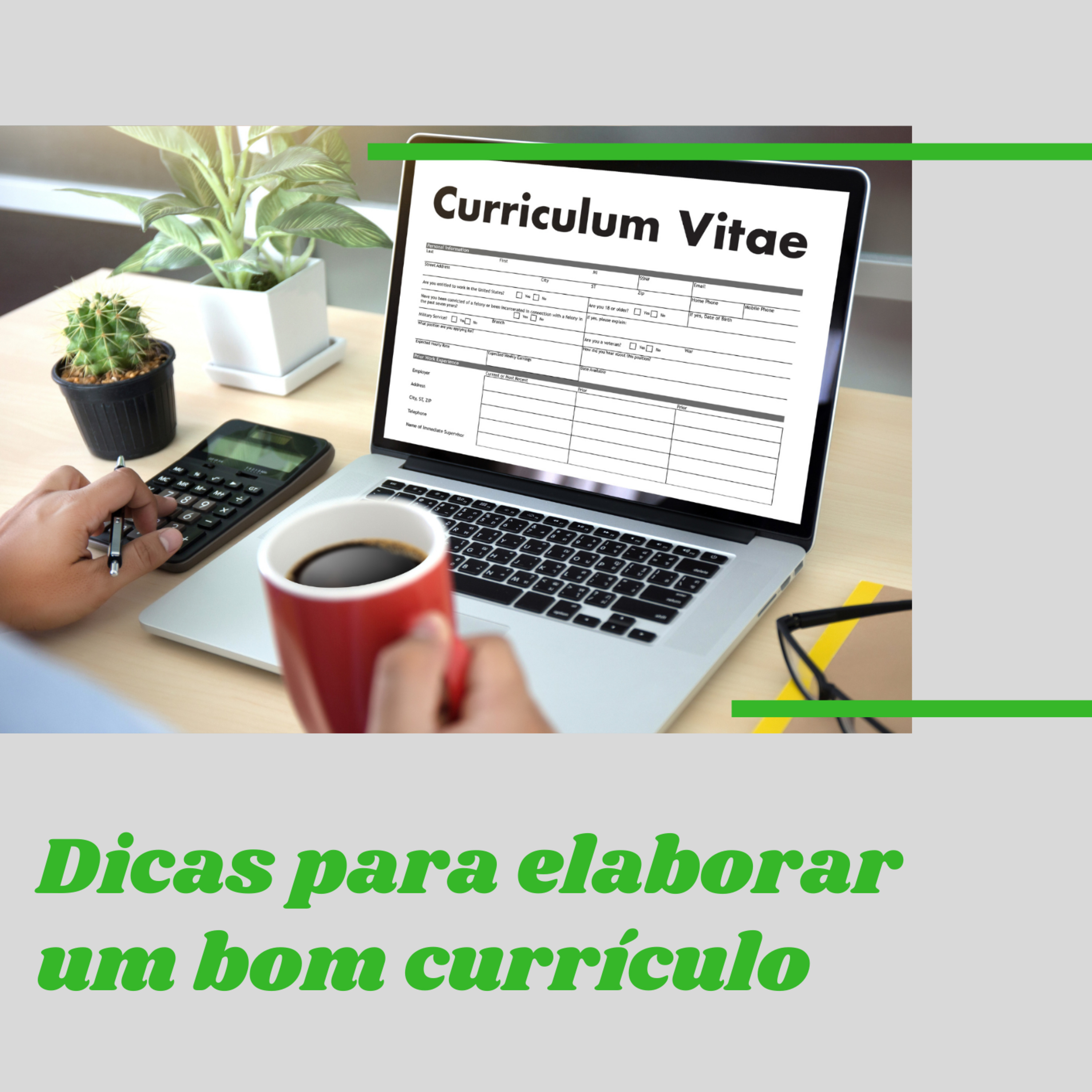 Thot Contabilidade