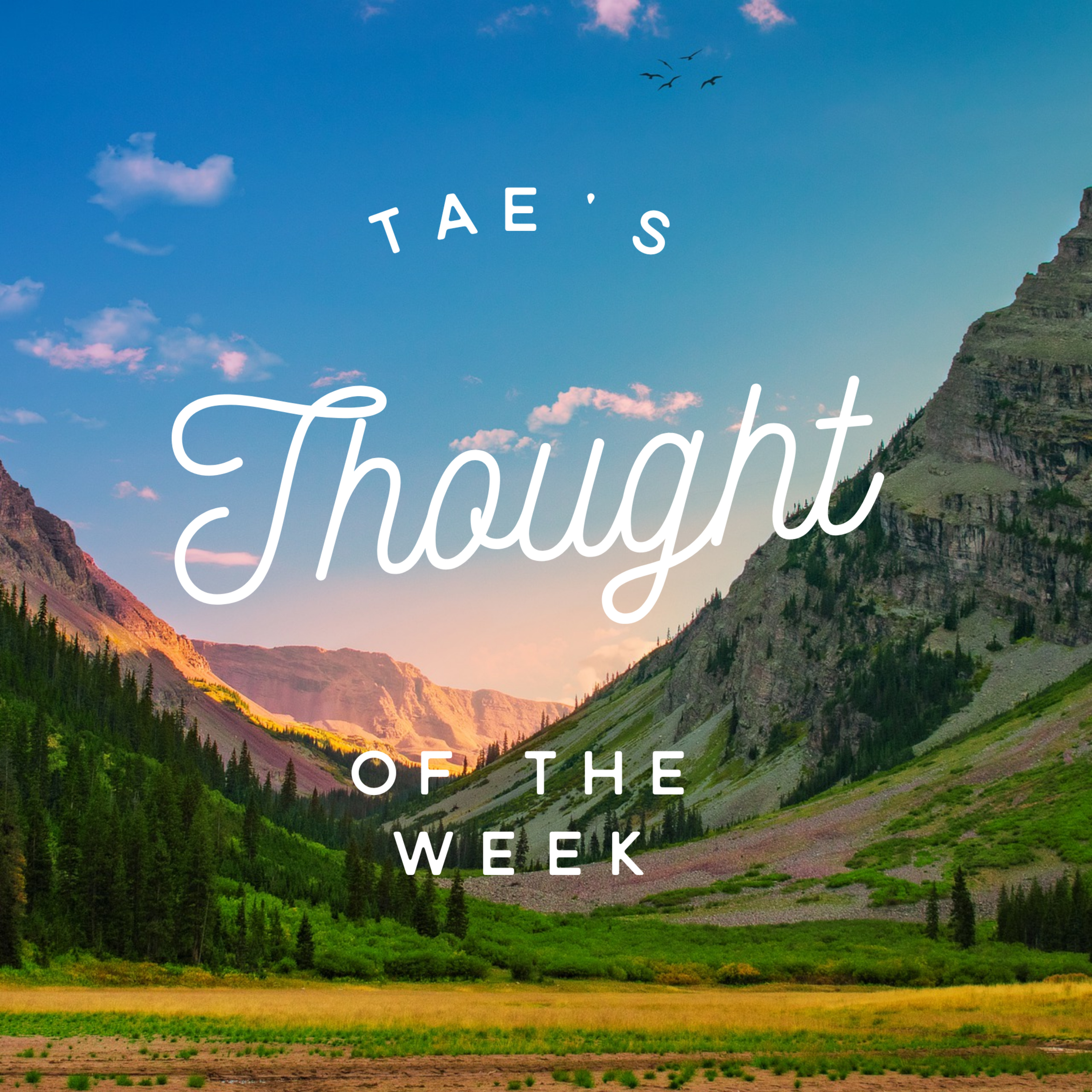 Thought of the Week: Meditation