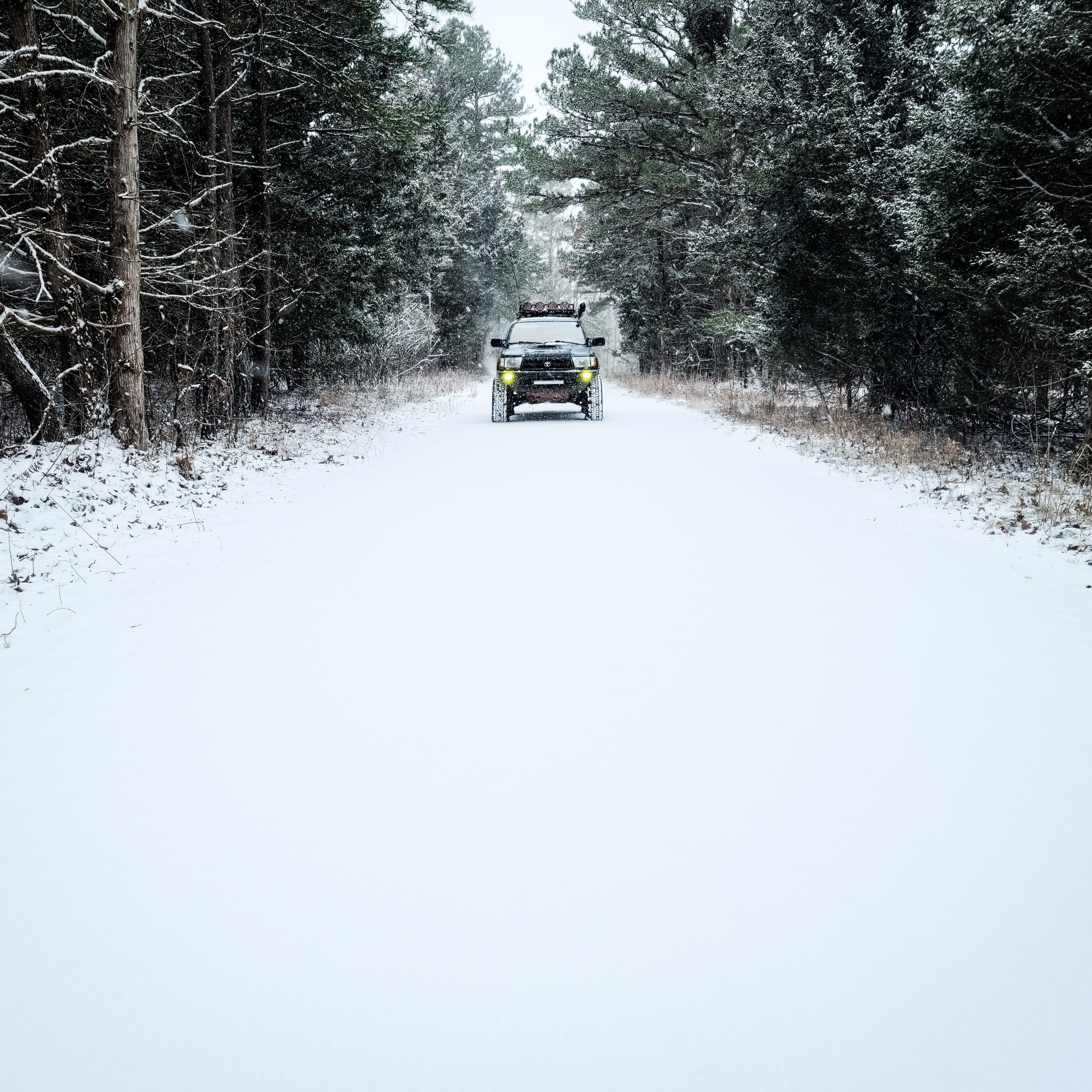 1st snow in our area and winter preparing 