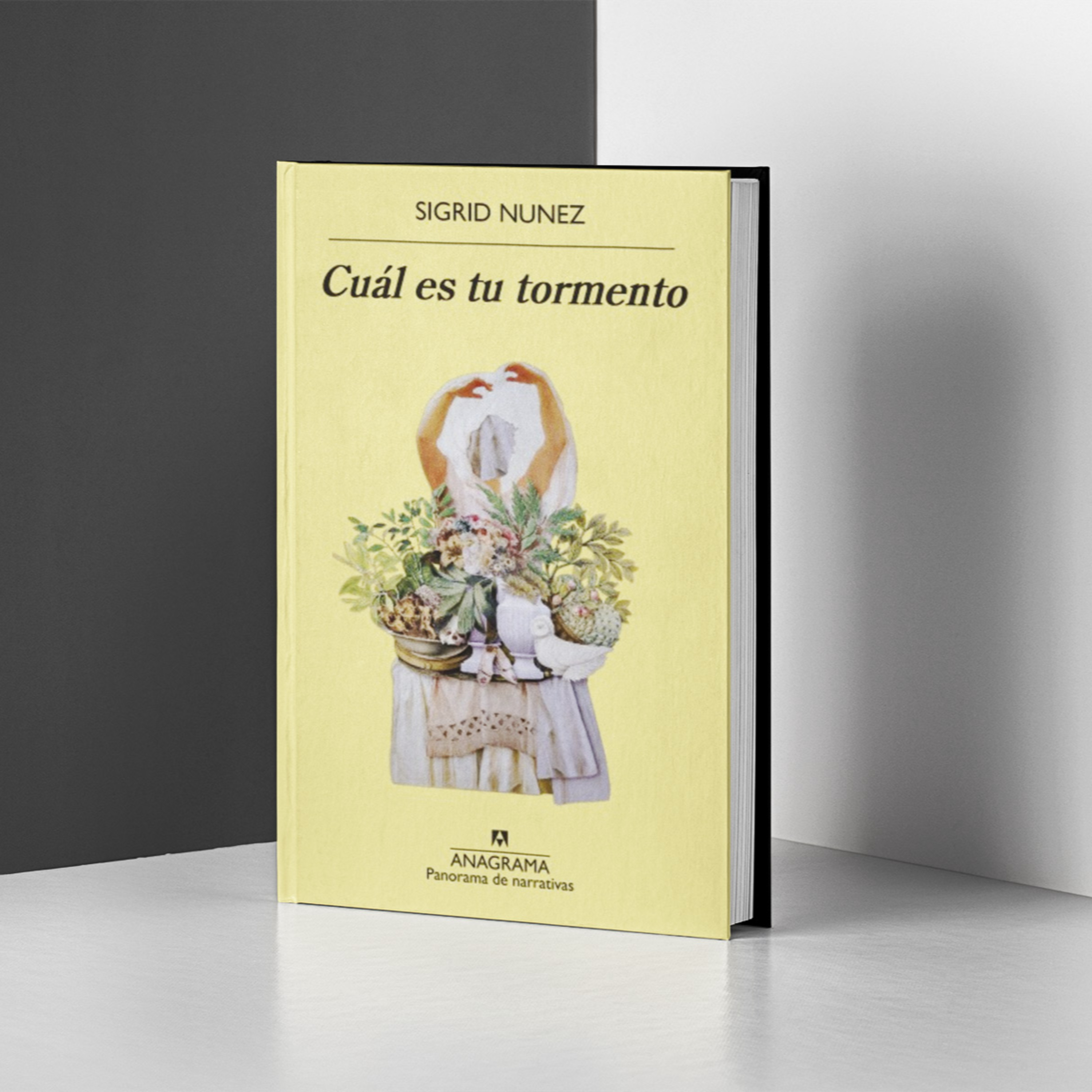 Recomendación literaria: "Cuál es tu tormento" de Sigrid Nunez episode artwork