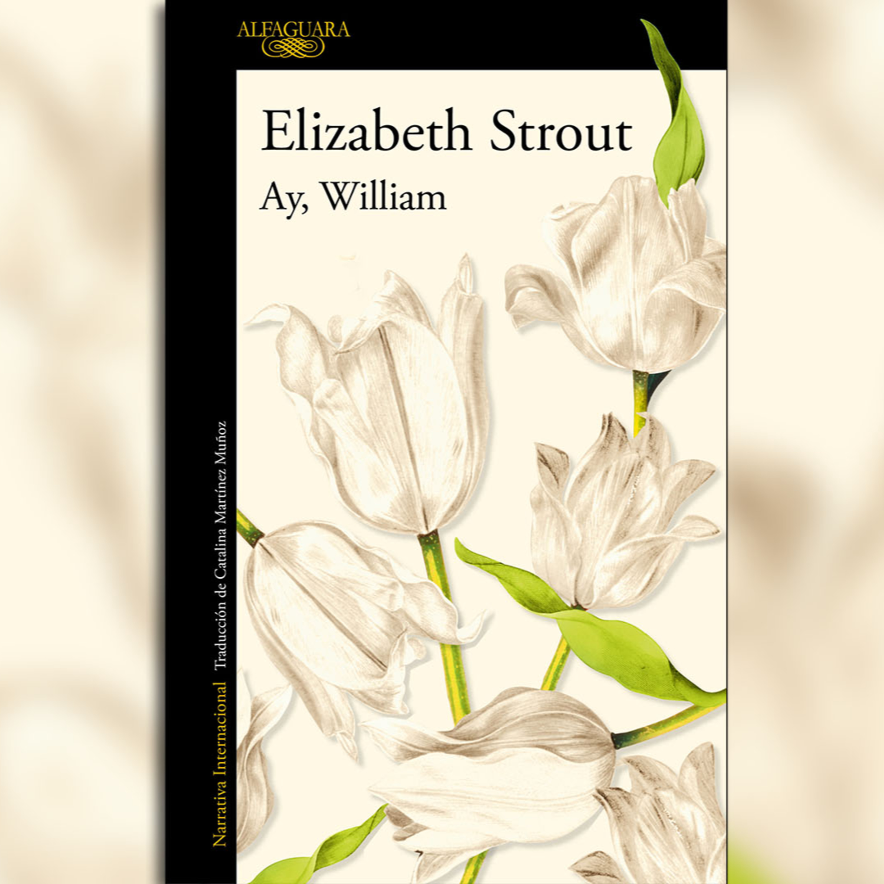Recomendación literaria: "Ay, William" de Elizabeth Strout episode artwork