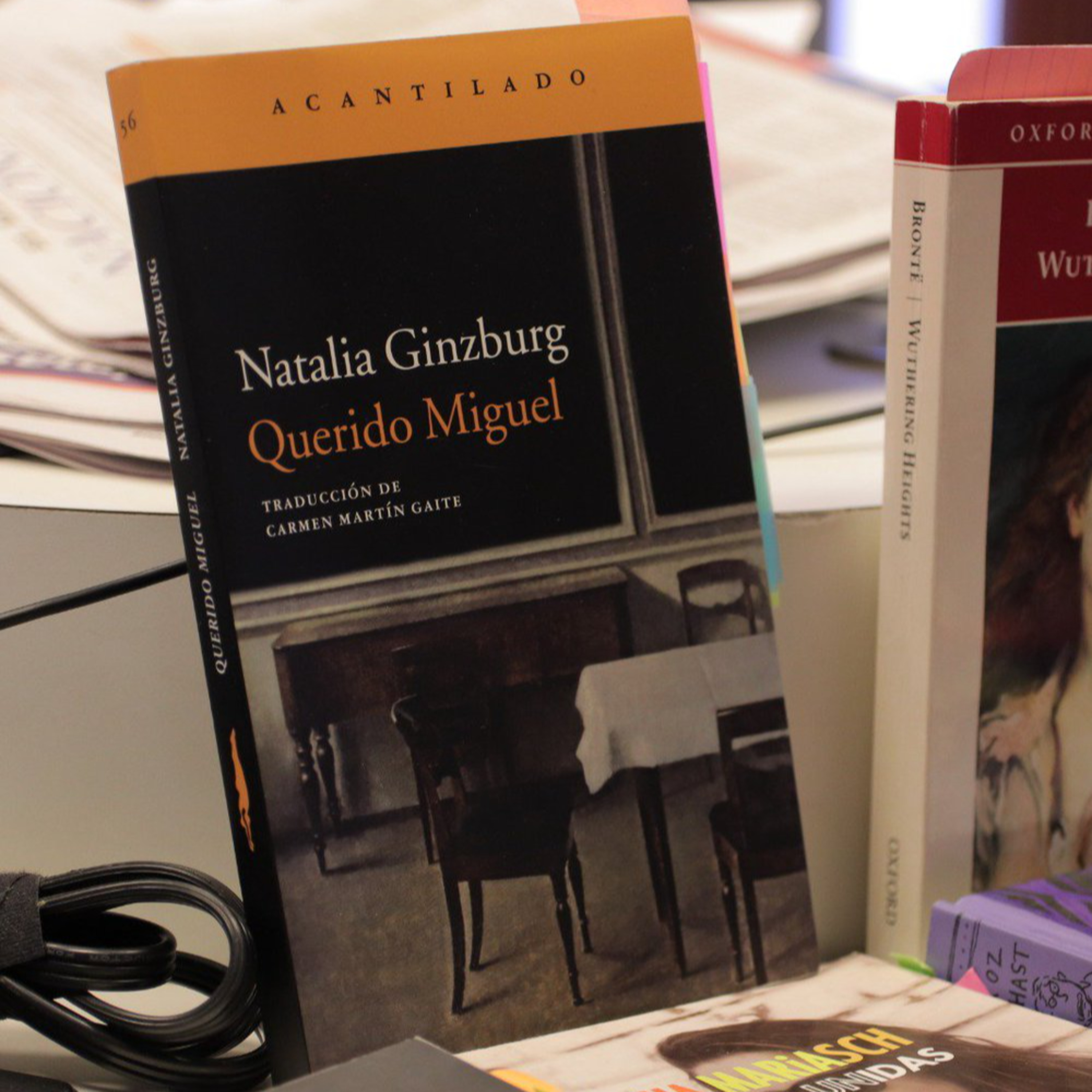 Recomendación literaria: "Querido Miguel" de Natalia Ginzburg episode artwork