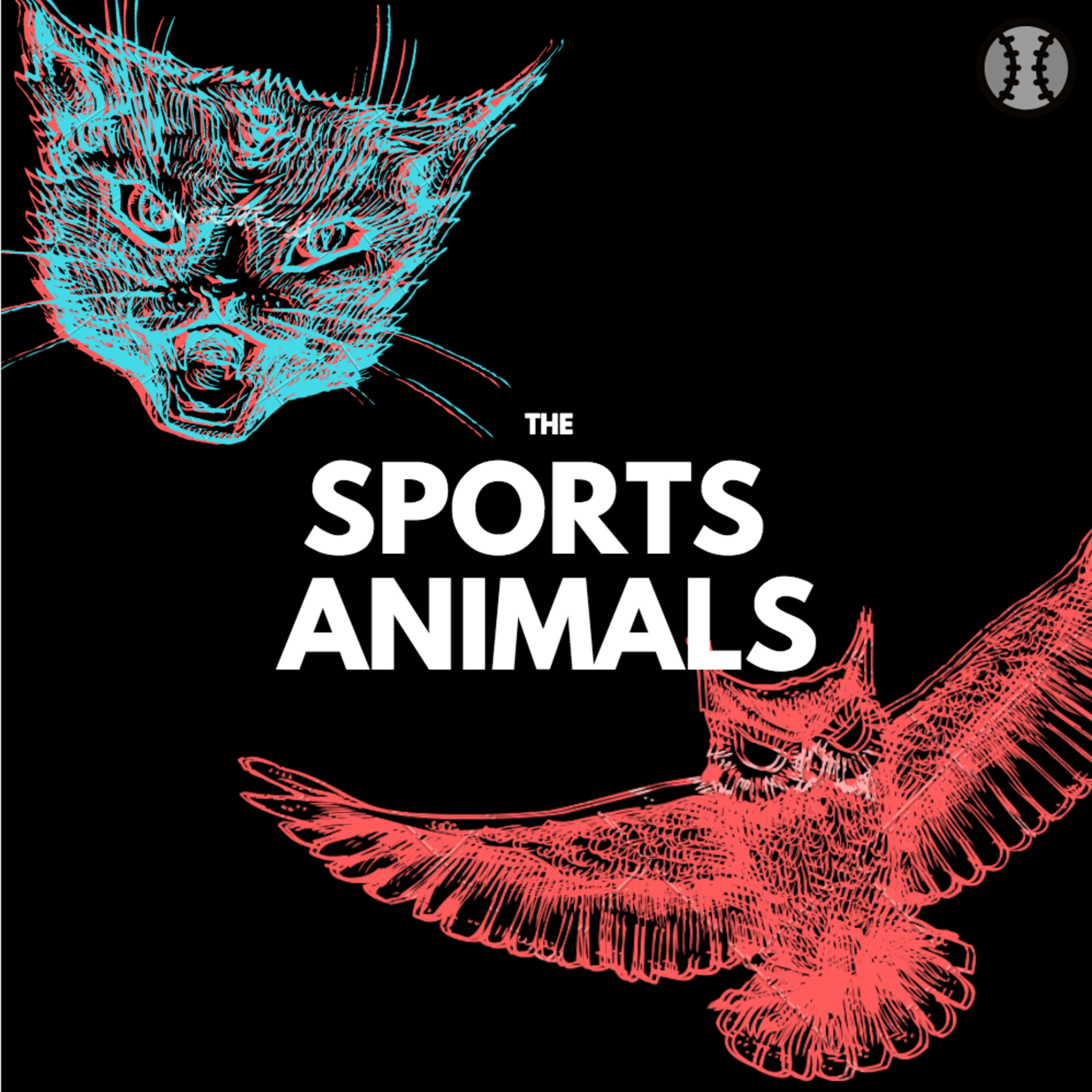 The Sports Animals is back! episode artwork