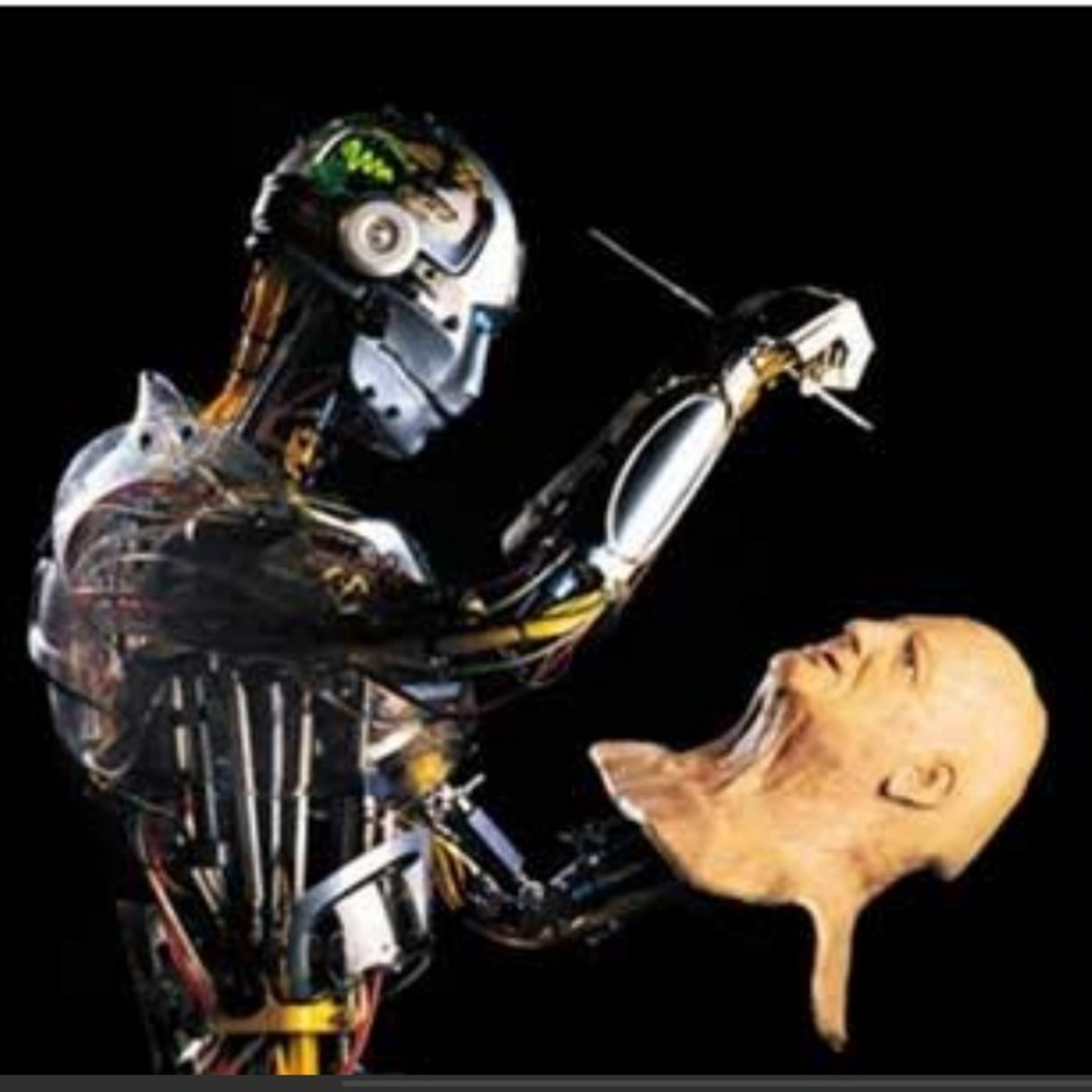 Educação Felipe Brito