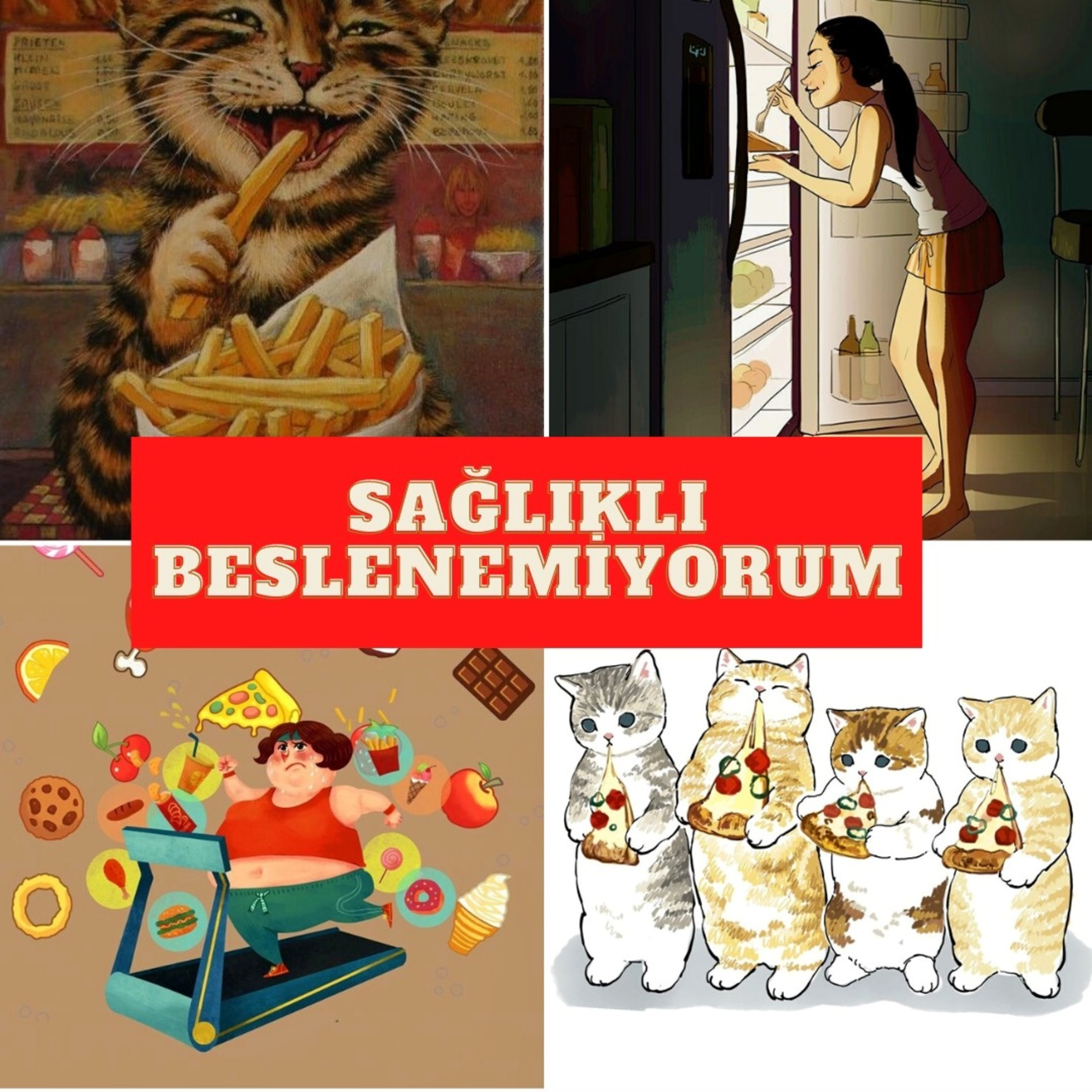 Sağlıklı Beslenemiyorum episode artwork