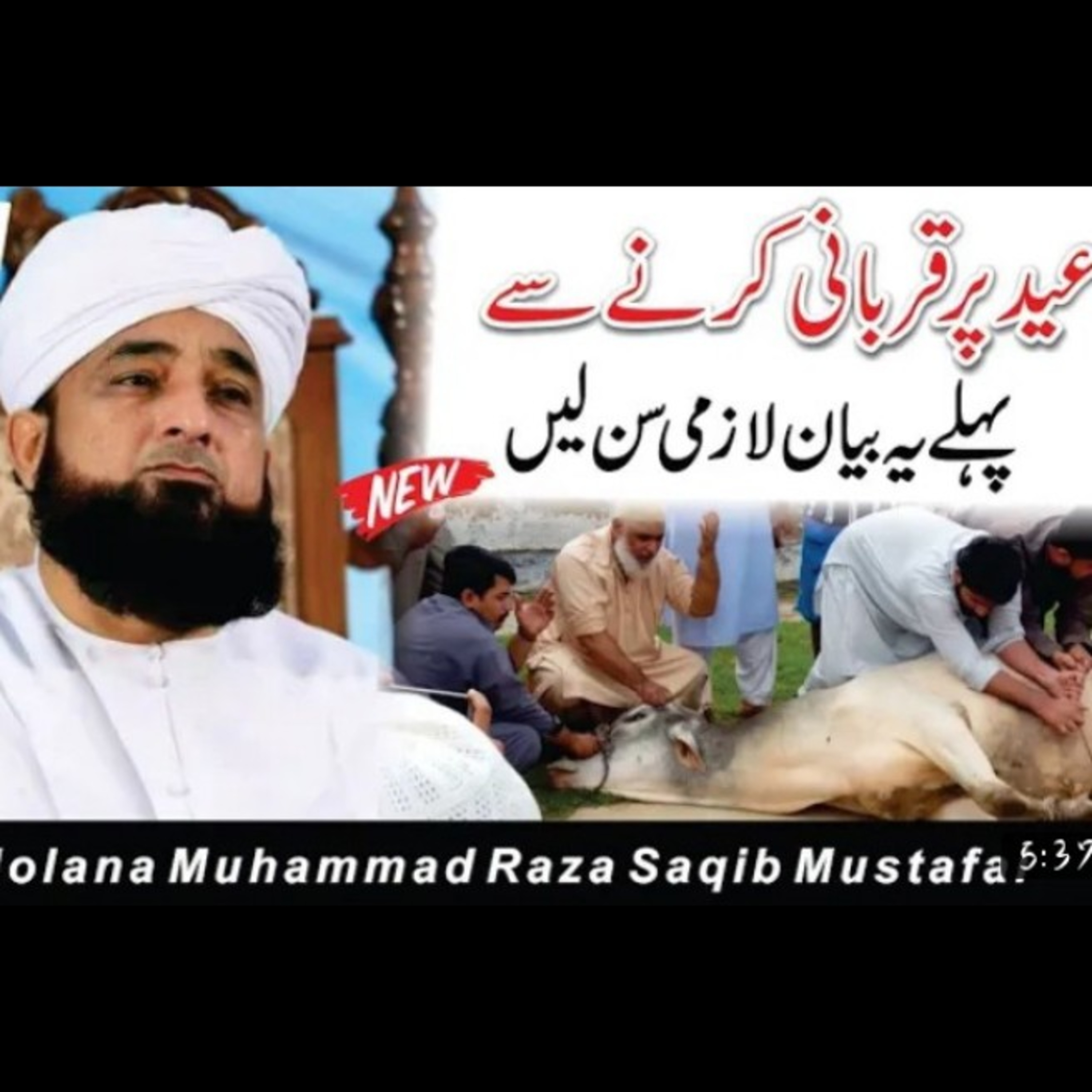Qurbani krne se phly ye beyan sun Lyn. Latest bayan by Muhammad Raza Saqib Mustafai. episode artwork