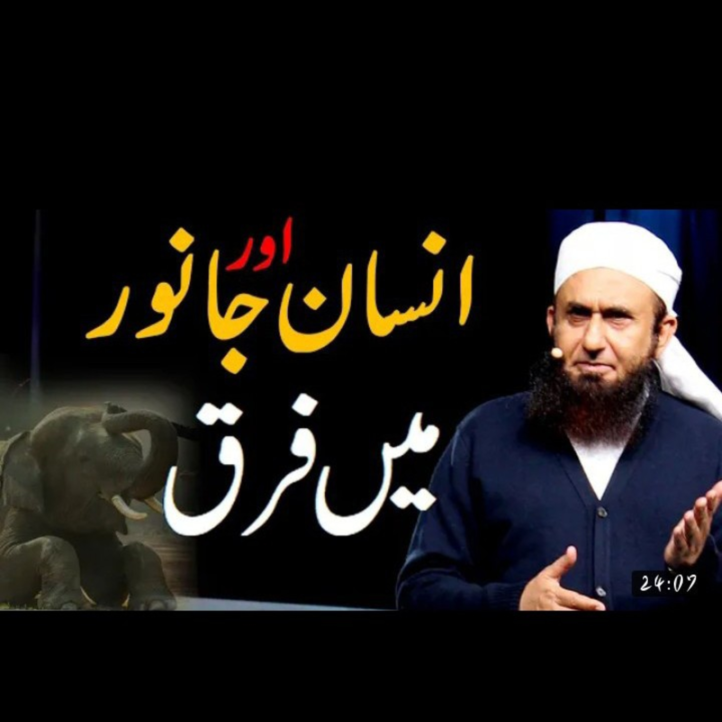 Insan or janwar mn farak ? Latest bayan by Maulana Tariq Jameel. episode artwork