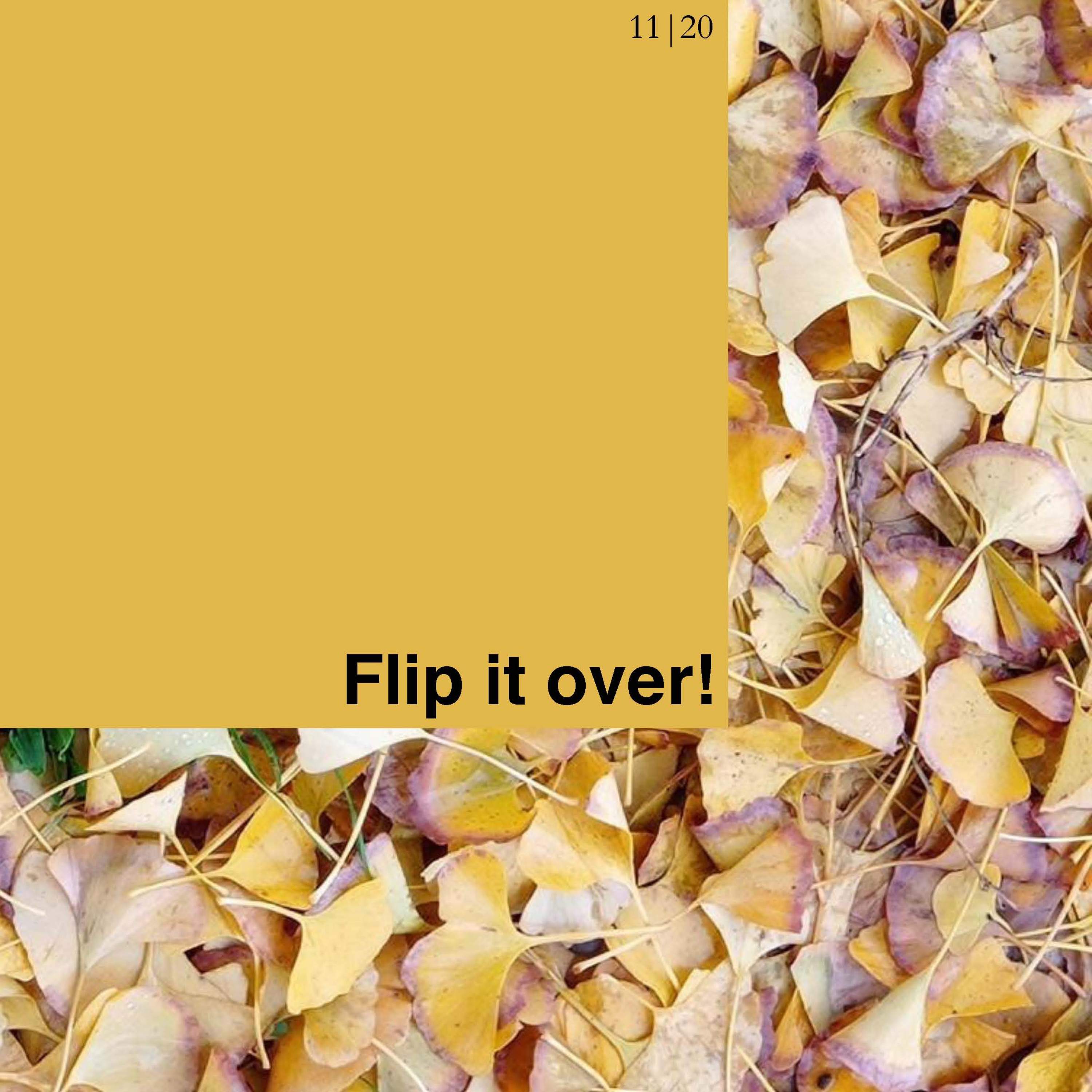 11_FLIP IT OVER episode artwork