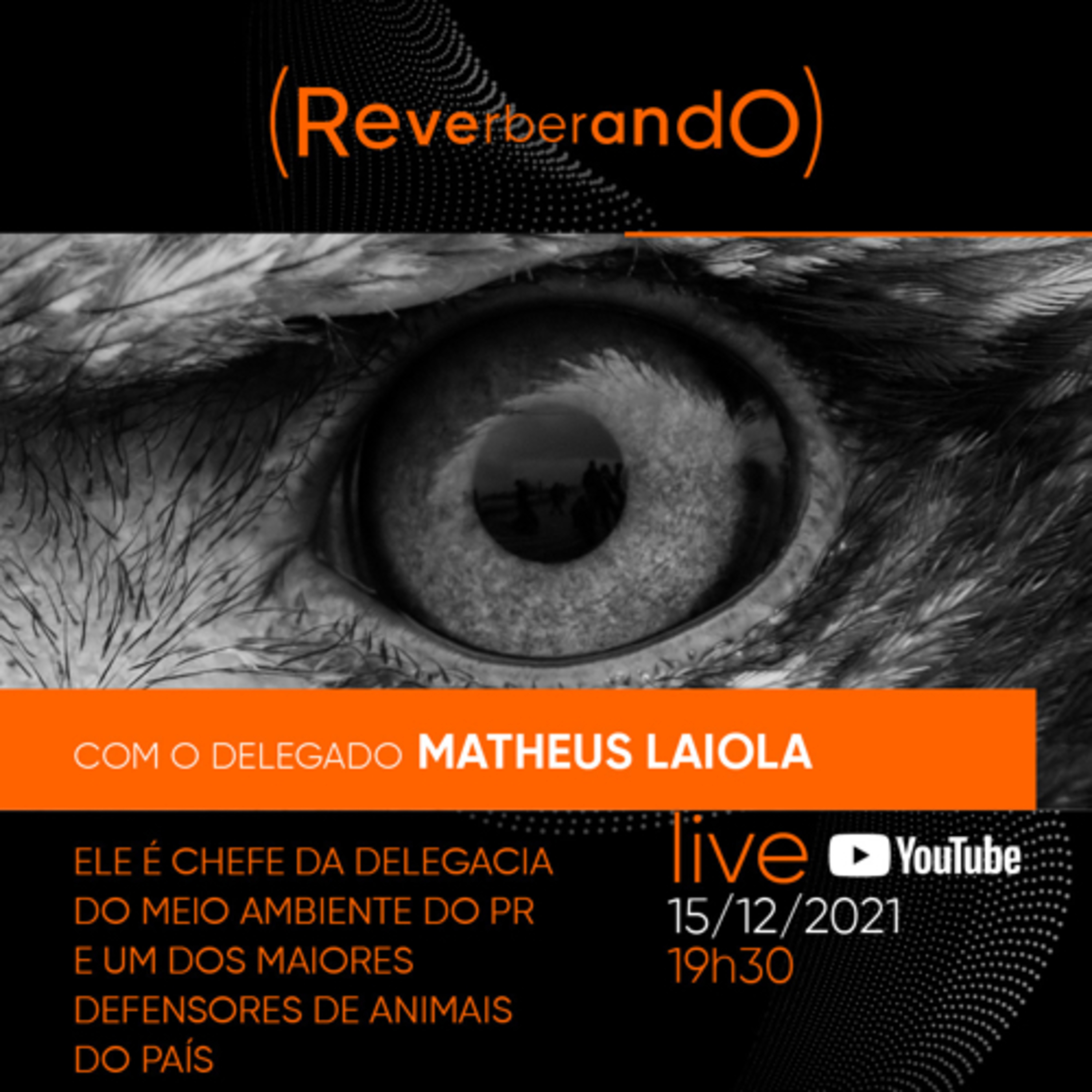 Reverberando