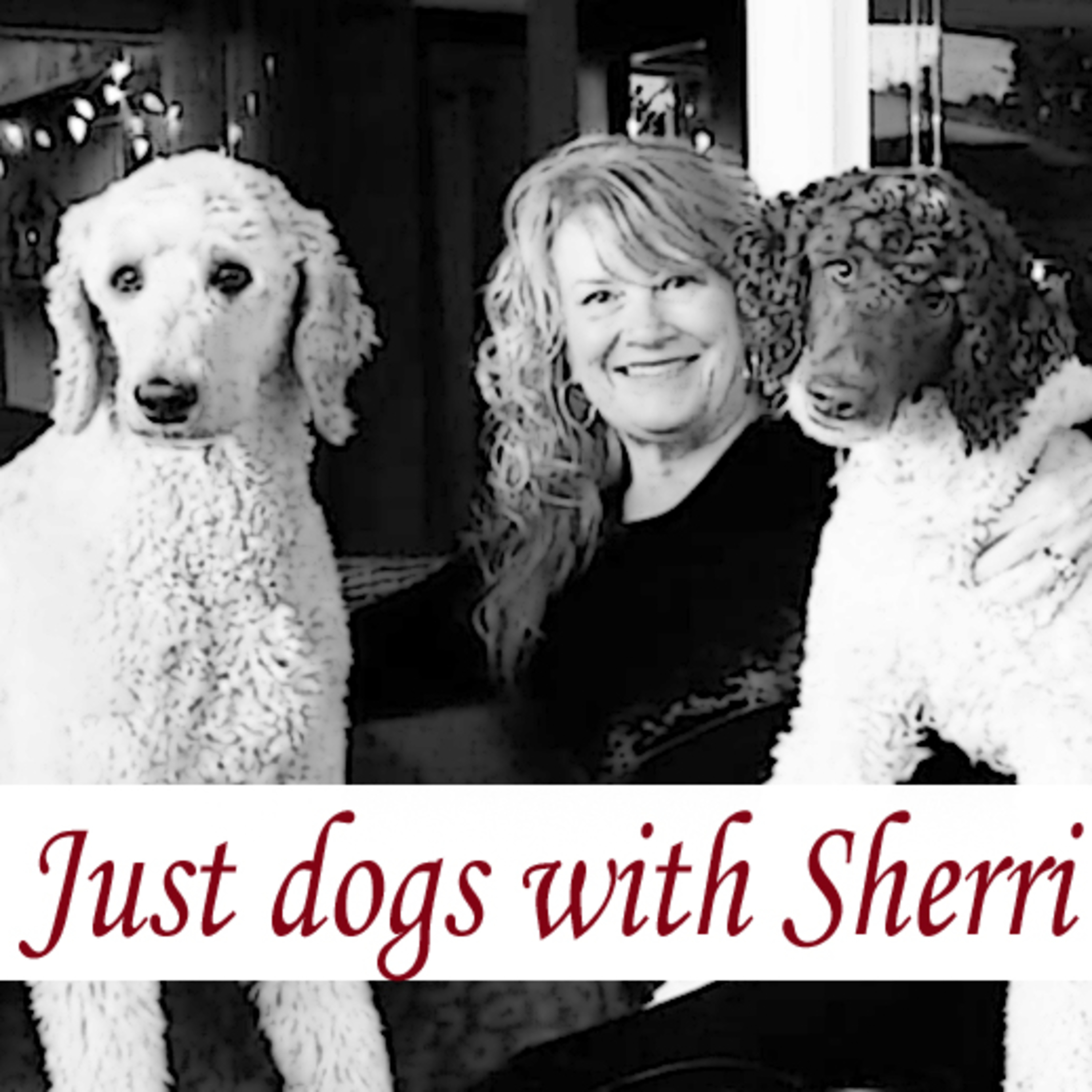 Just Dogs with Sherri