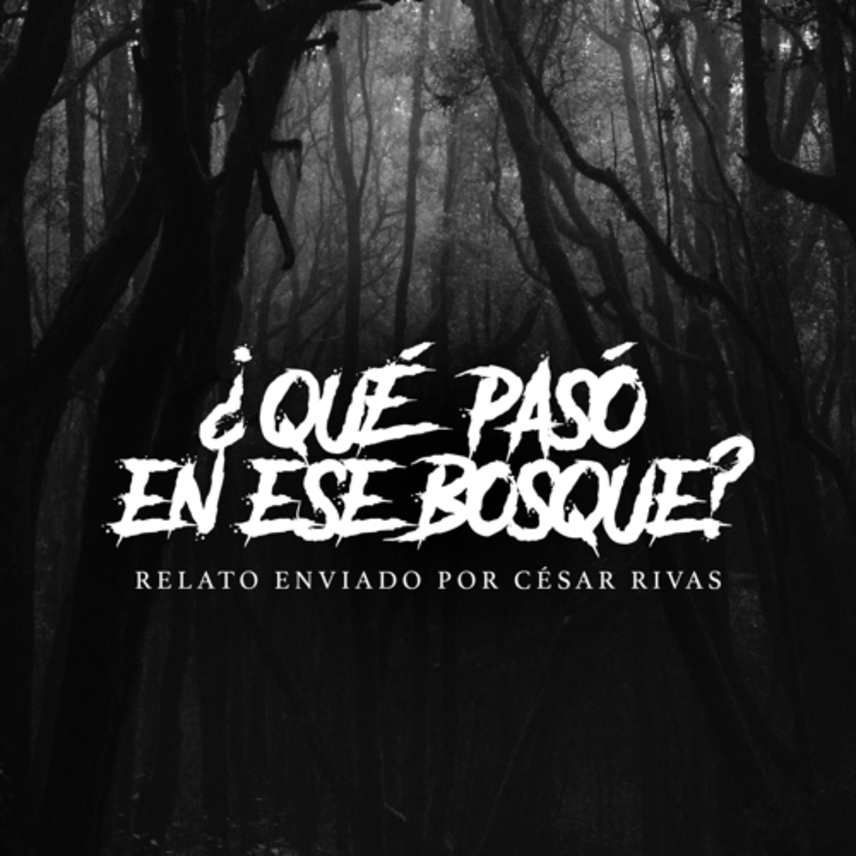 ¿Qué pasó en ese bosque? episode artwork