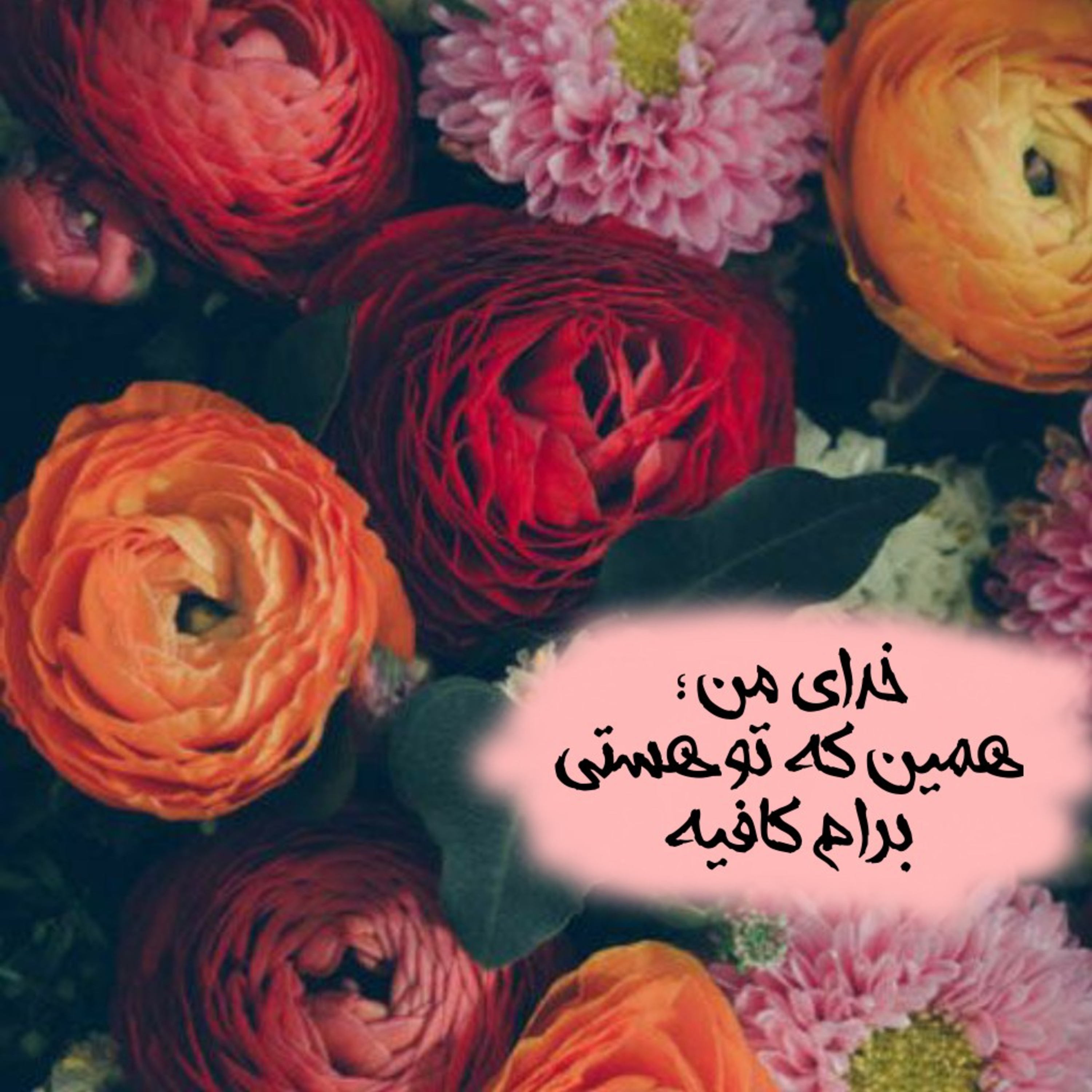 کاور چگونه عاشق شویم؟؟