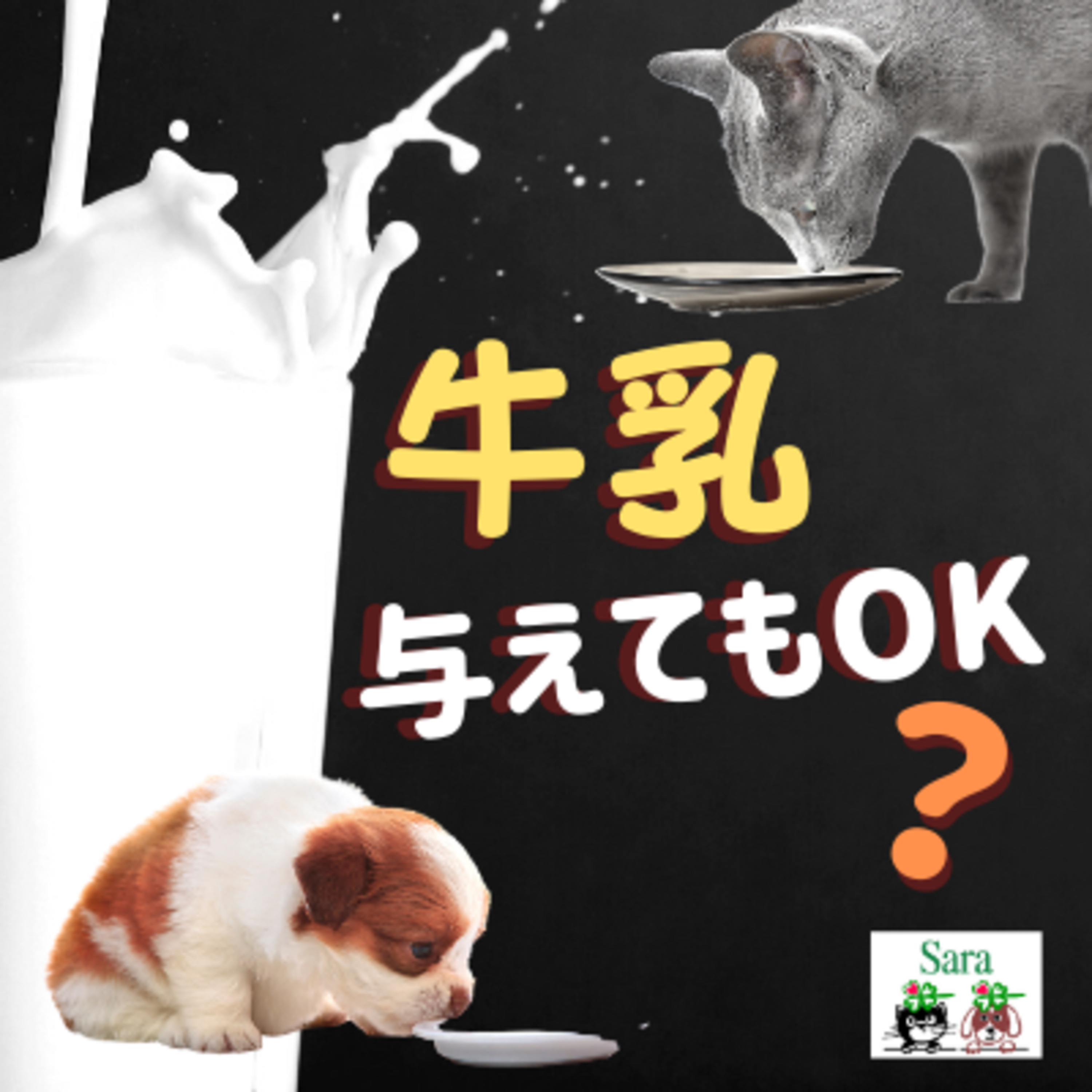 ＃94. 質問への回答：牛乳で長生きできるという説が。でも犬猫に牛乳を与えてもOK？ ヨーグルトはどう？ episode artwork