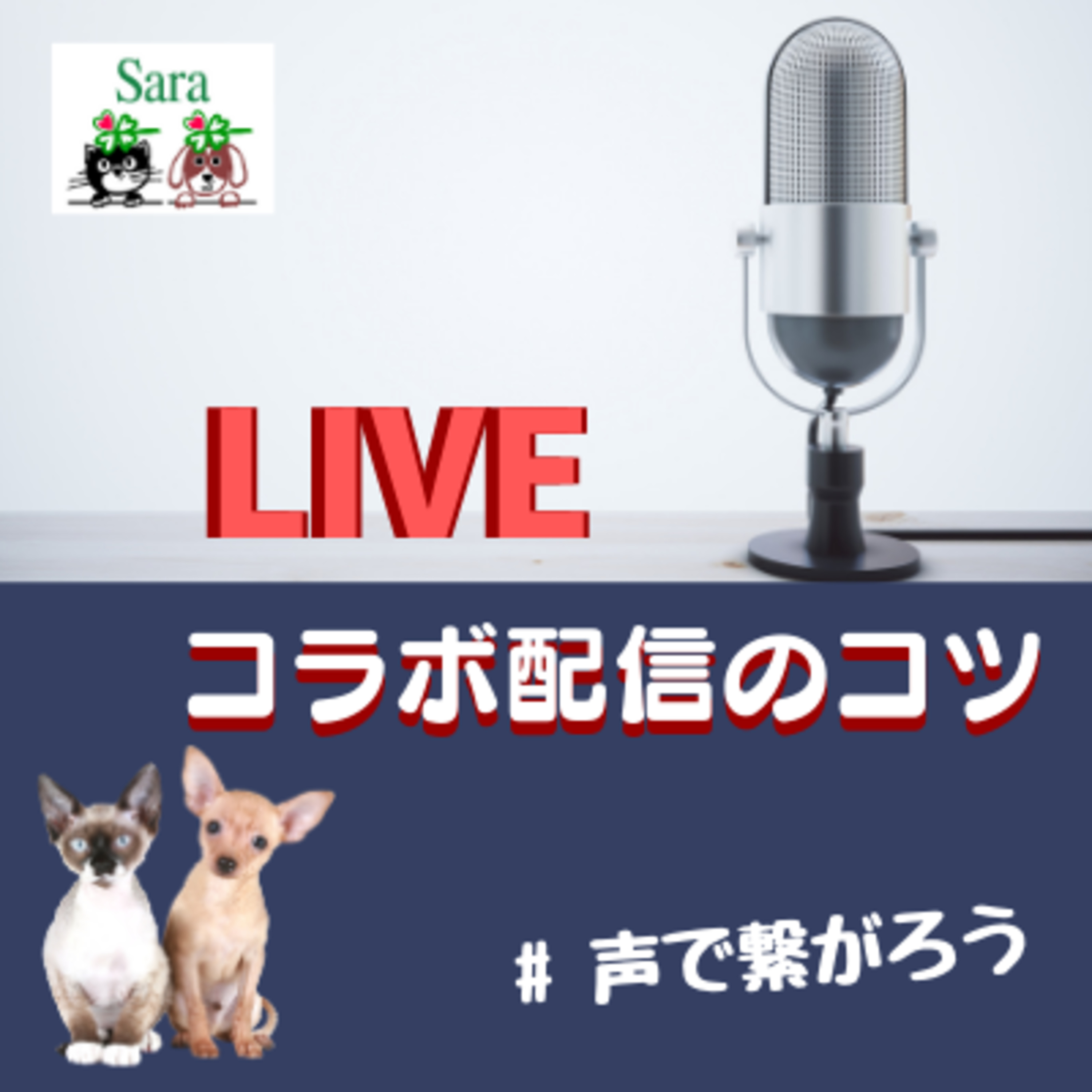 #102. #声で繋がろう~初めてのコラボ配信で気づいたこと（良かった点と悪かった点） episode artwork