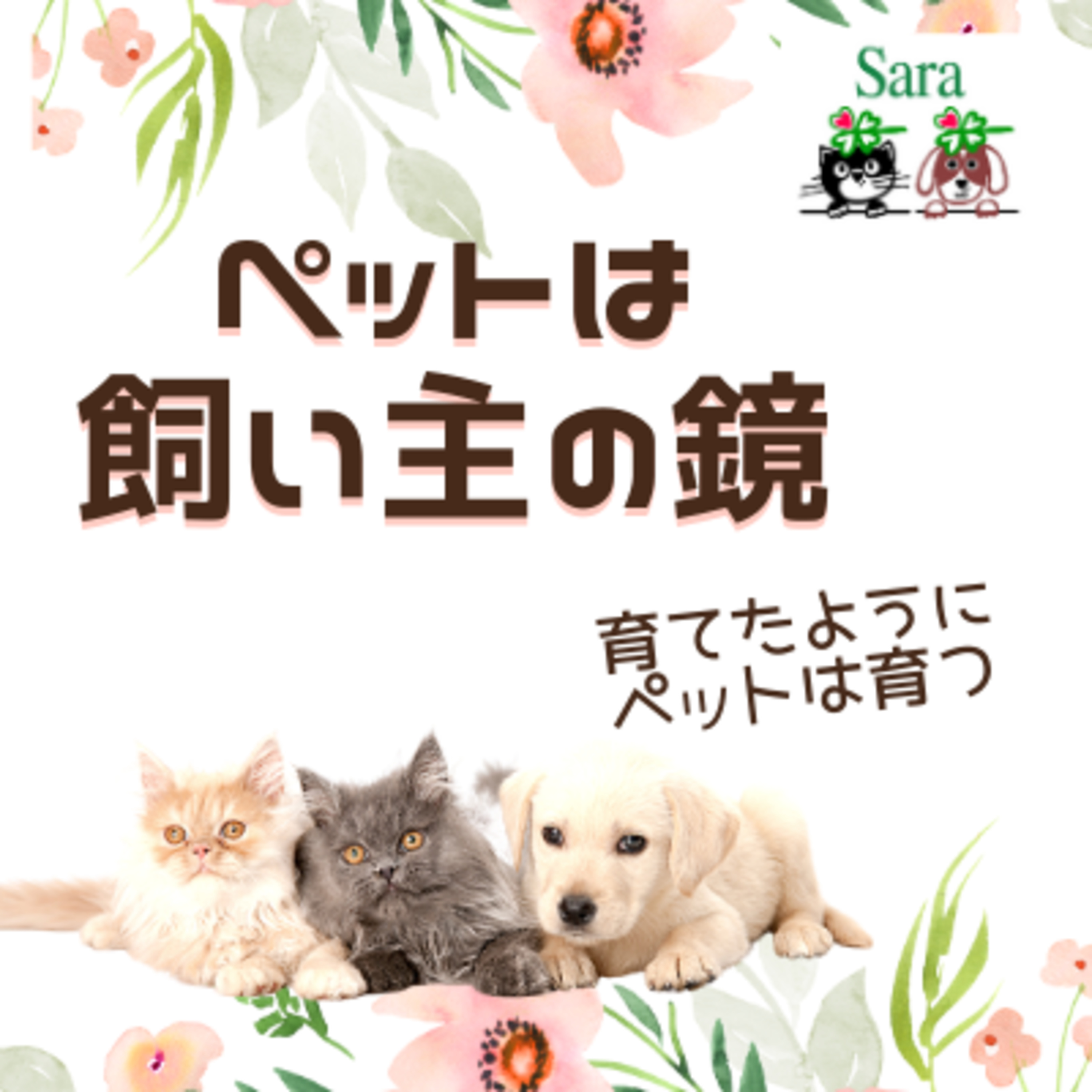 #104. 育てたようにペットは育つ：ペットは飼い主の鏡 episode artwork