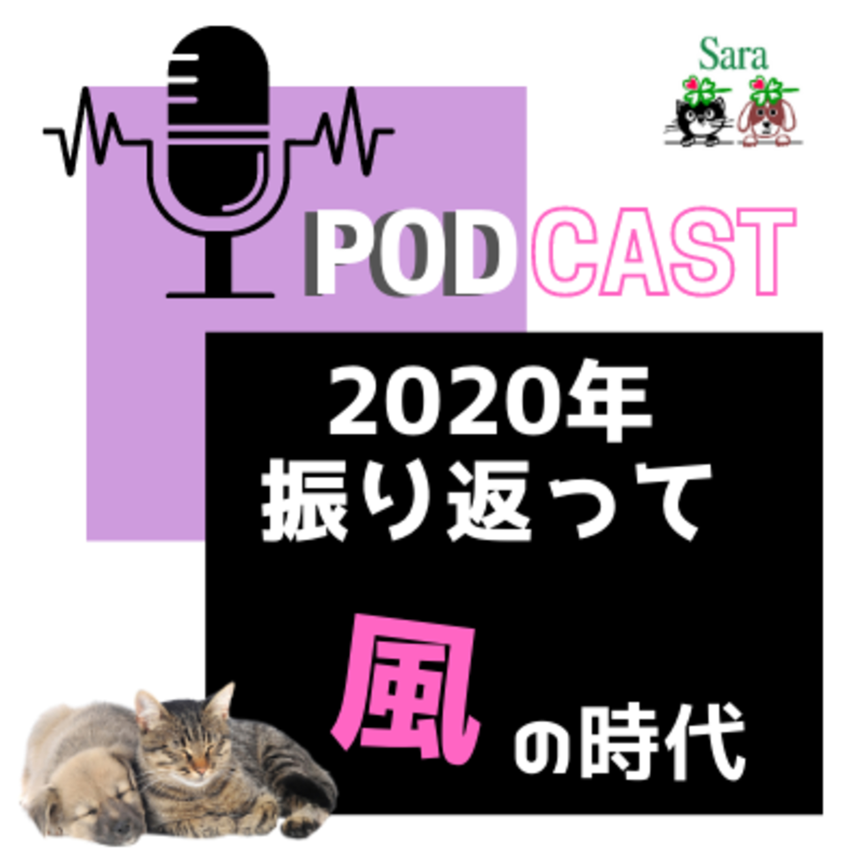 #110. 2020年の音声配信を振り返ってみて感じること（Himalaya祭りバトンリレー） episode artwork