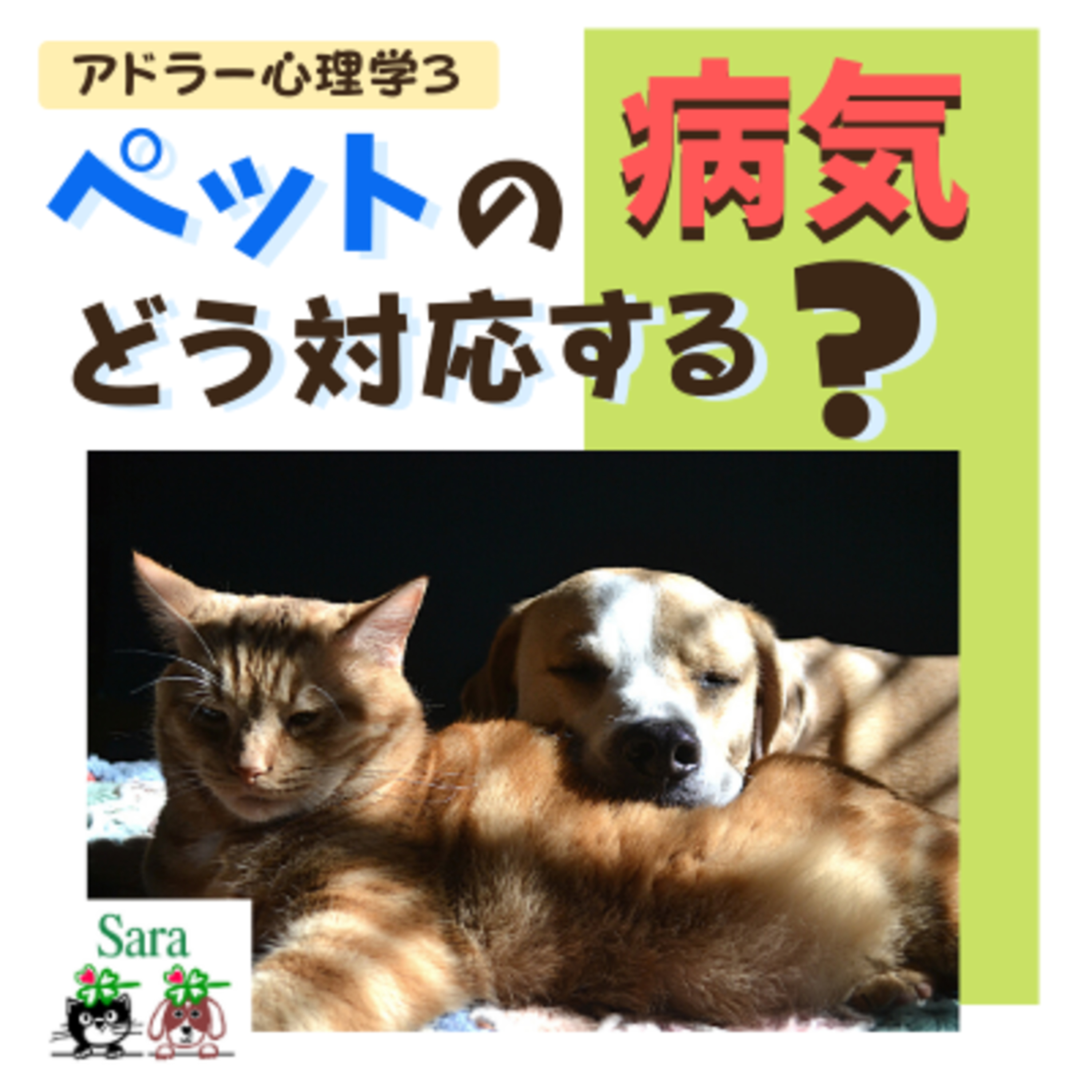 #116. アドラー心理学３：ペットの病気にどう対応するべき？（課題の分離） episode artwork