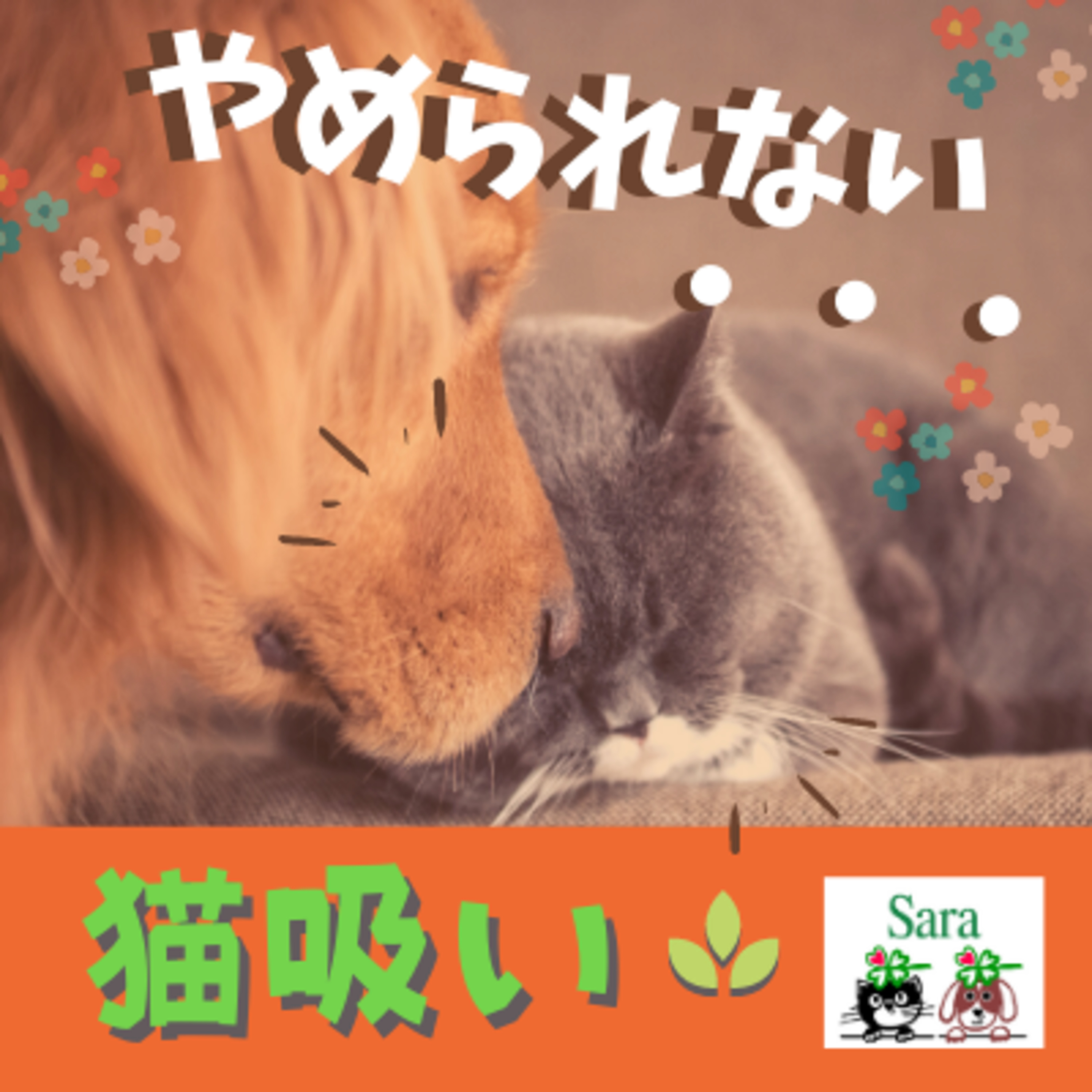 #130. あなたも止められない？１度はまると危険な「猫吸い」について episode artwork
