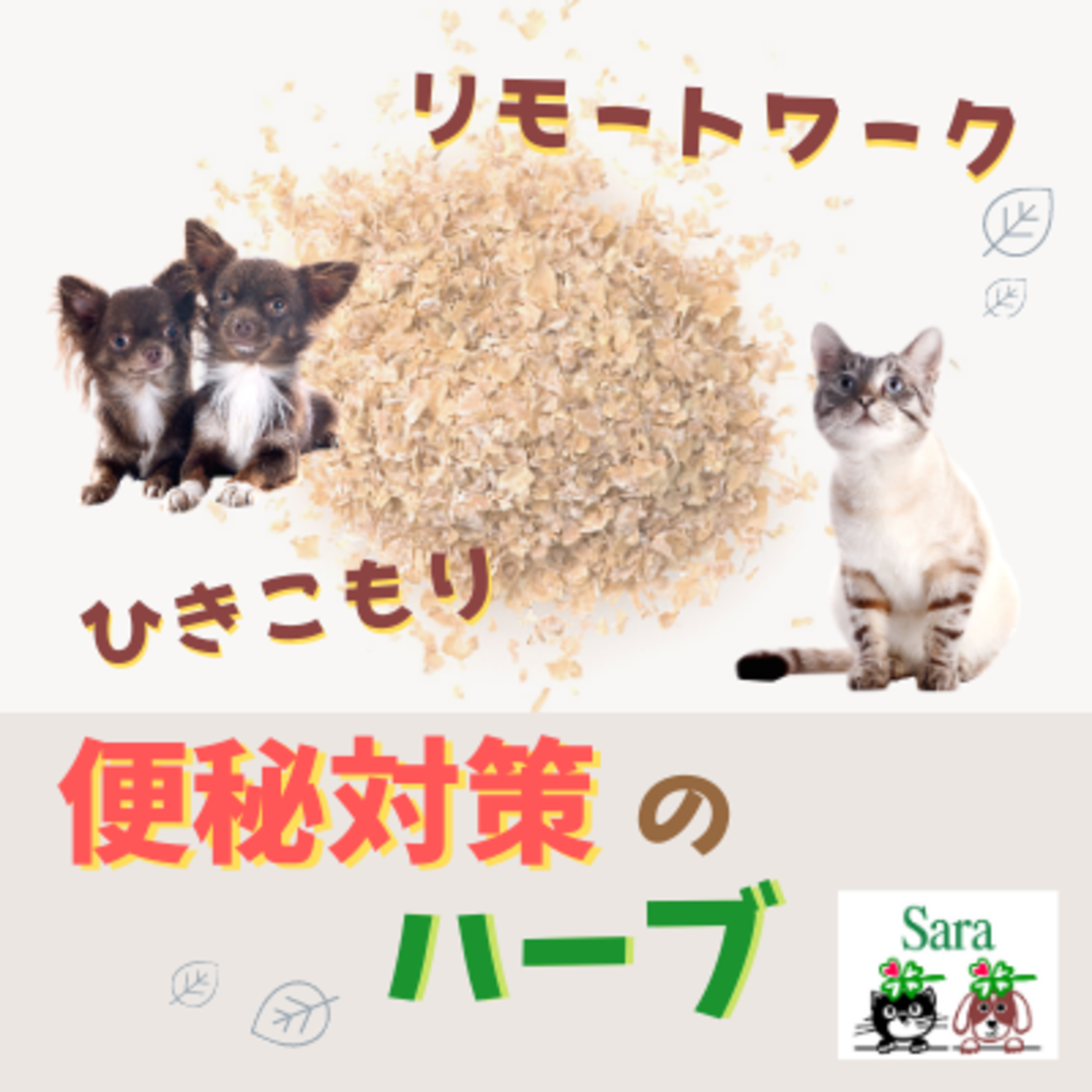 #132. 質問に回答：引きこもり＆リモートワークで便秘？犬猫にオオバコはどのくらい与える？ episode artwork