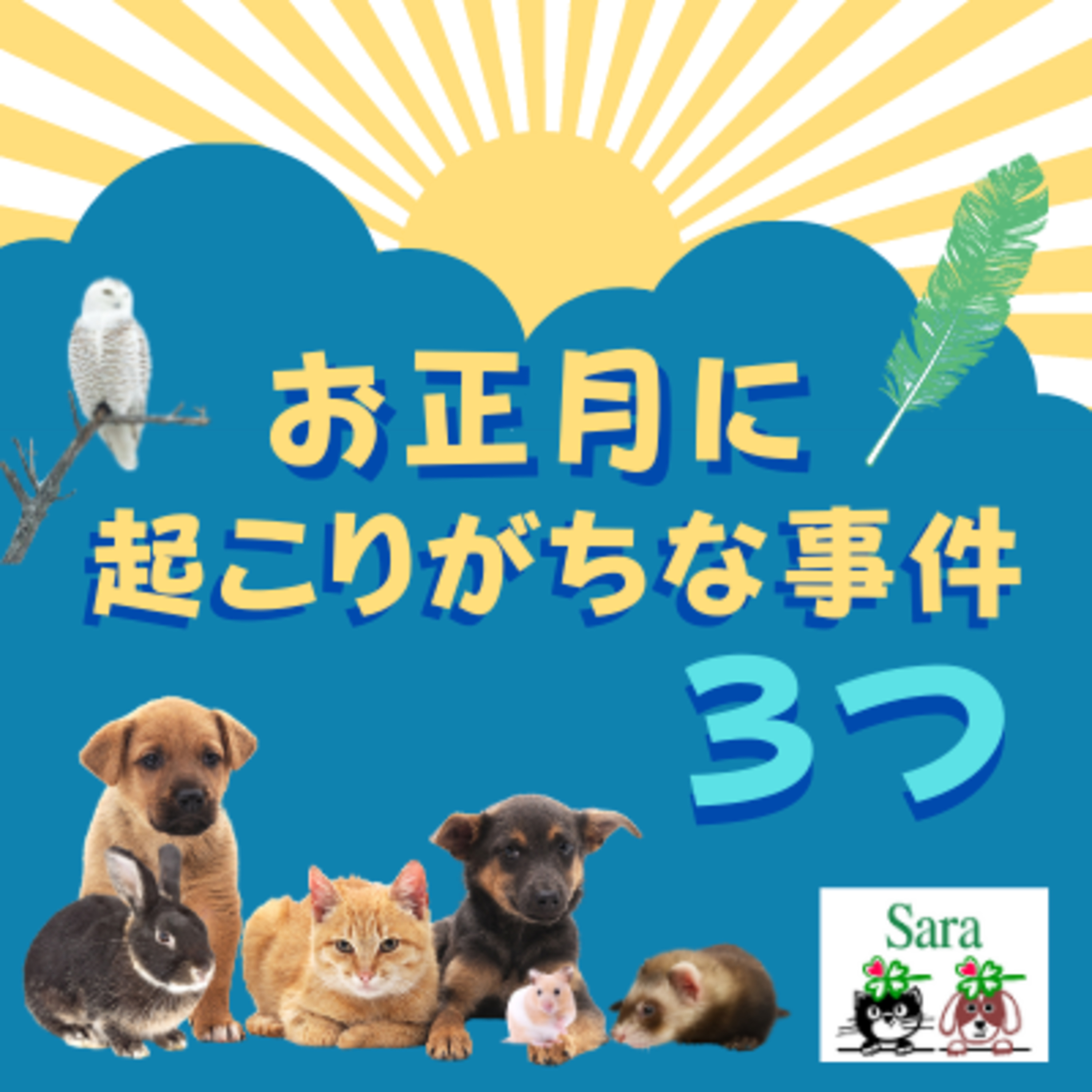 #144. 今知っておきたい！お正月に起こりがちな事件３つ episode artwork