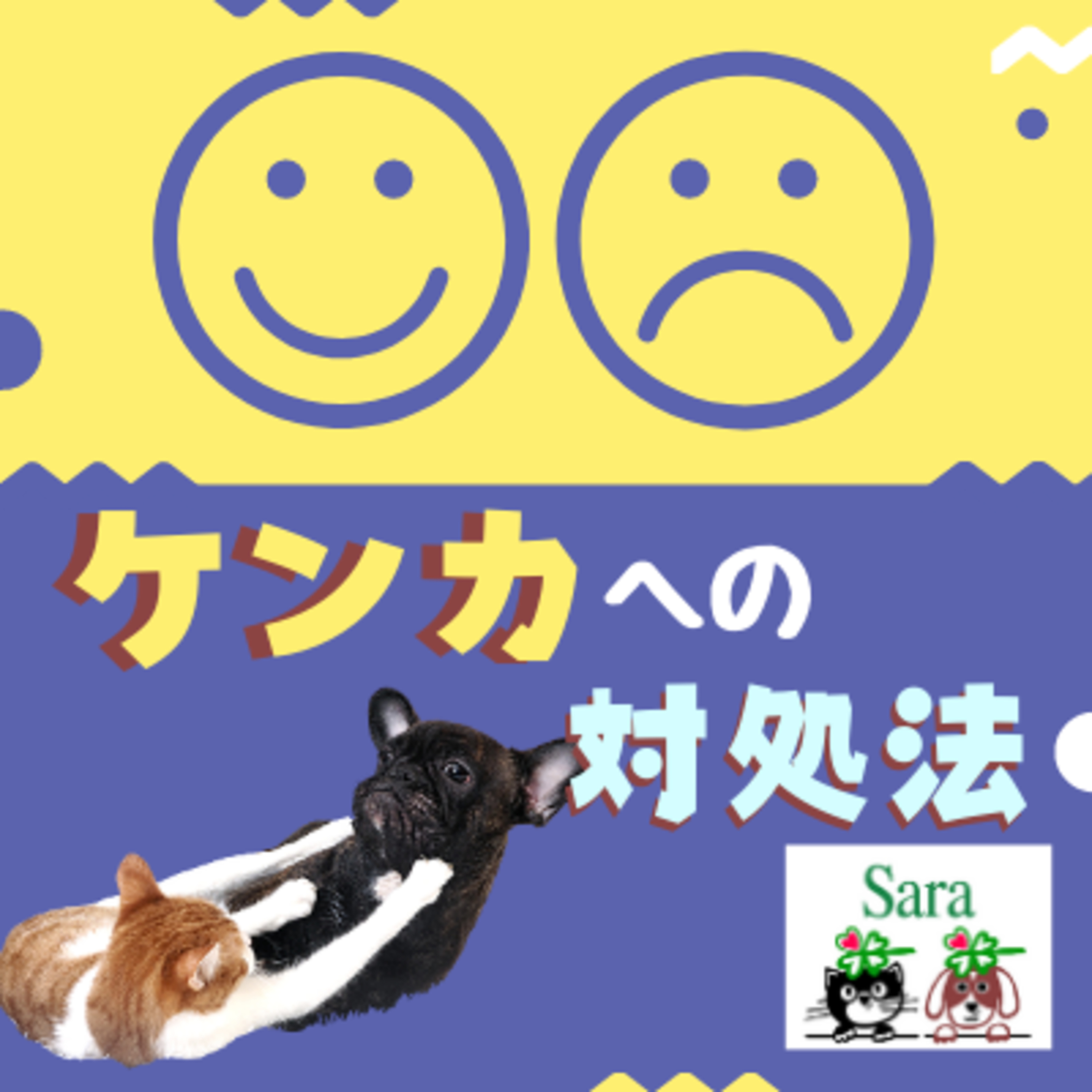 #147. 新年早々にケンカからスタート…対策はどうする？ episode artwork