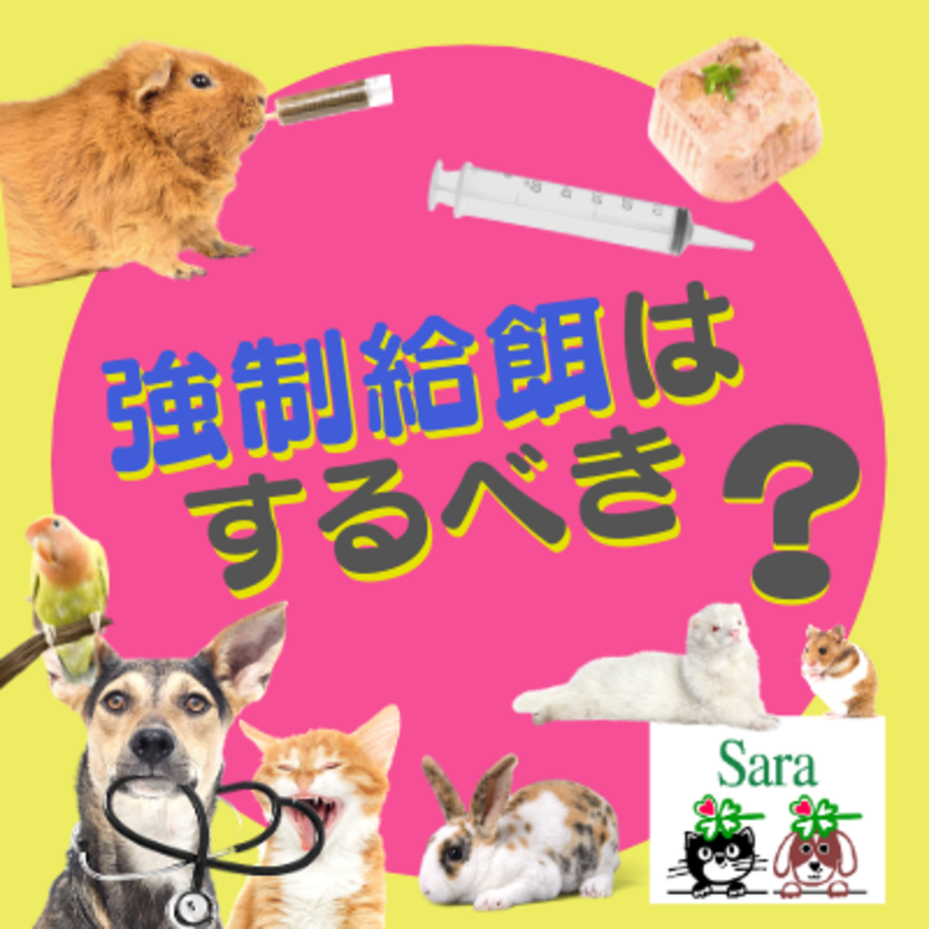 #151. 強制給餌はするべき？（ペットロスにならないために考えた方が良いこと） episode artwork