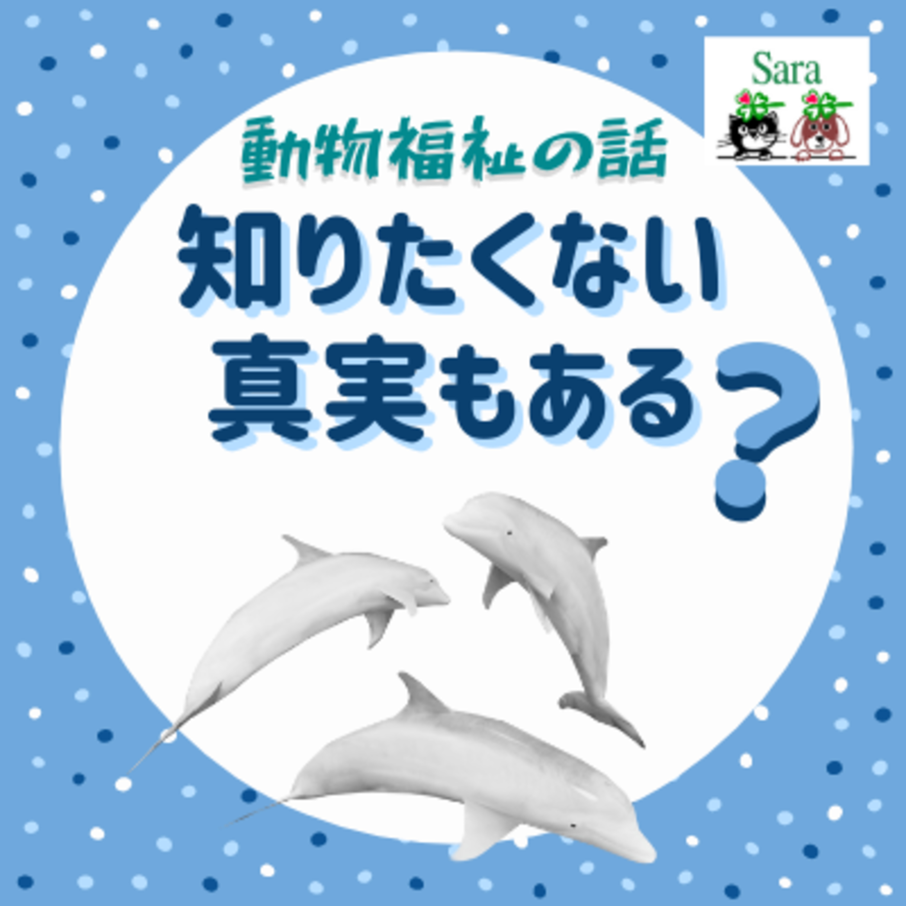 #161. 真実を知るにはココロの準備が必要（真実は時としてウワベの嘘よりも毒になる） episode artwork