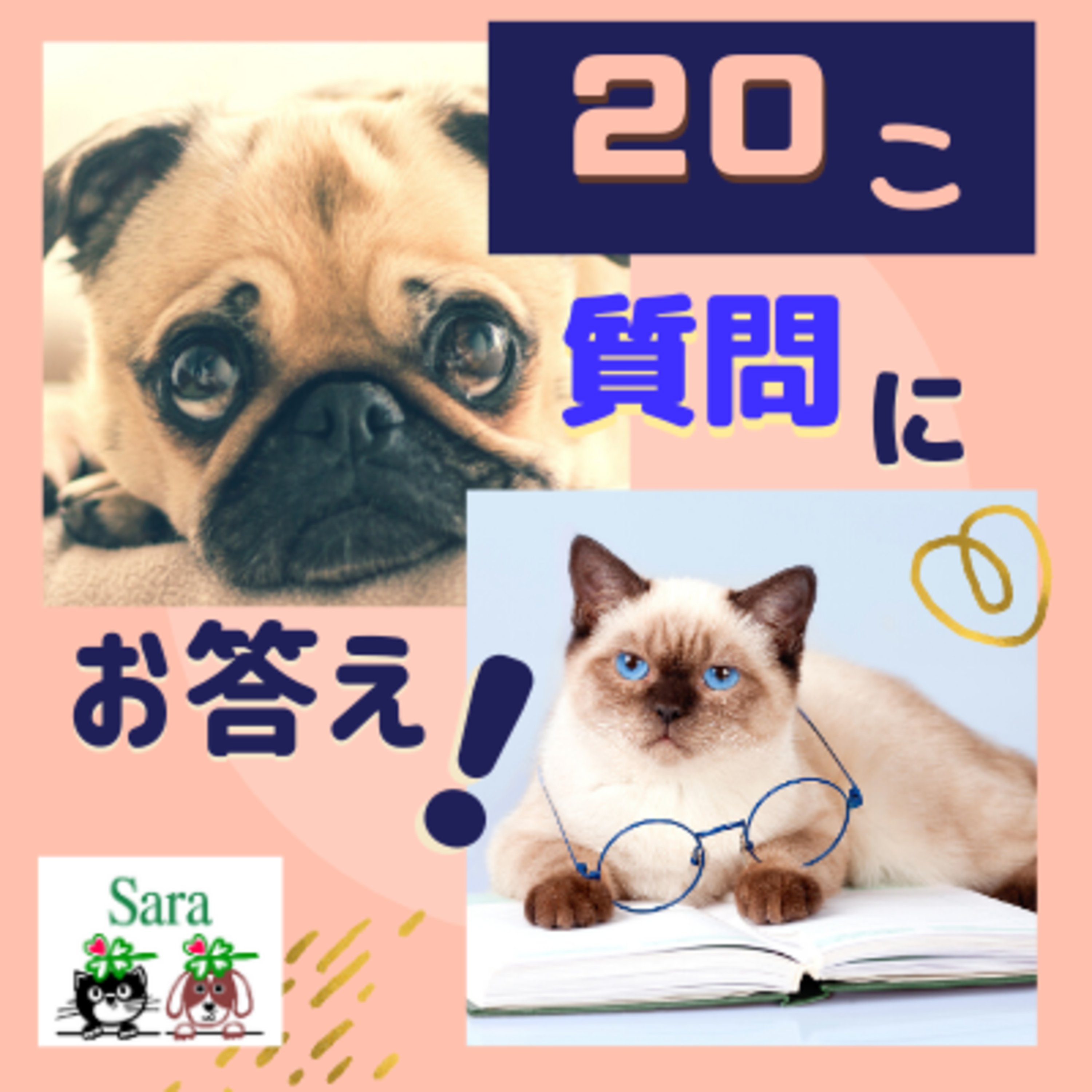 #167. ライブを開催！約２０の質問にお答えしました！ episode artwork