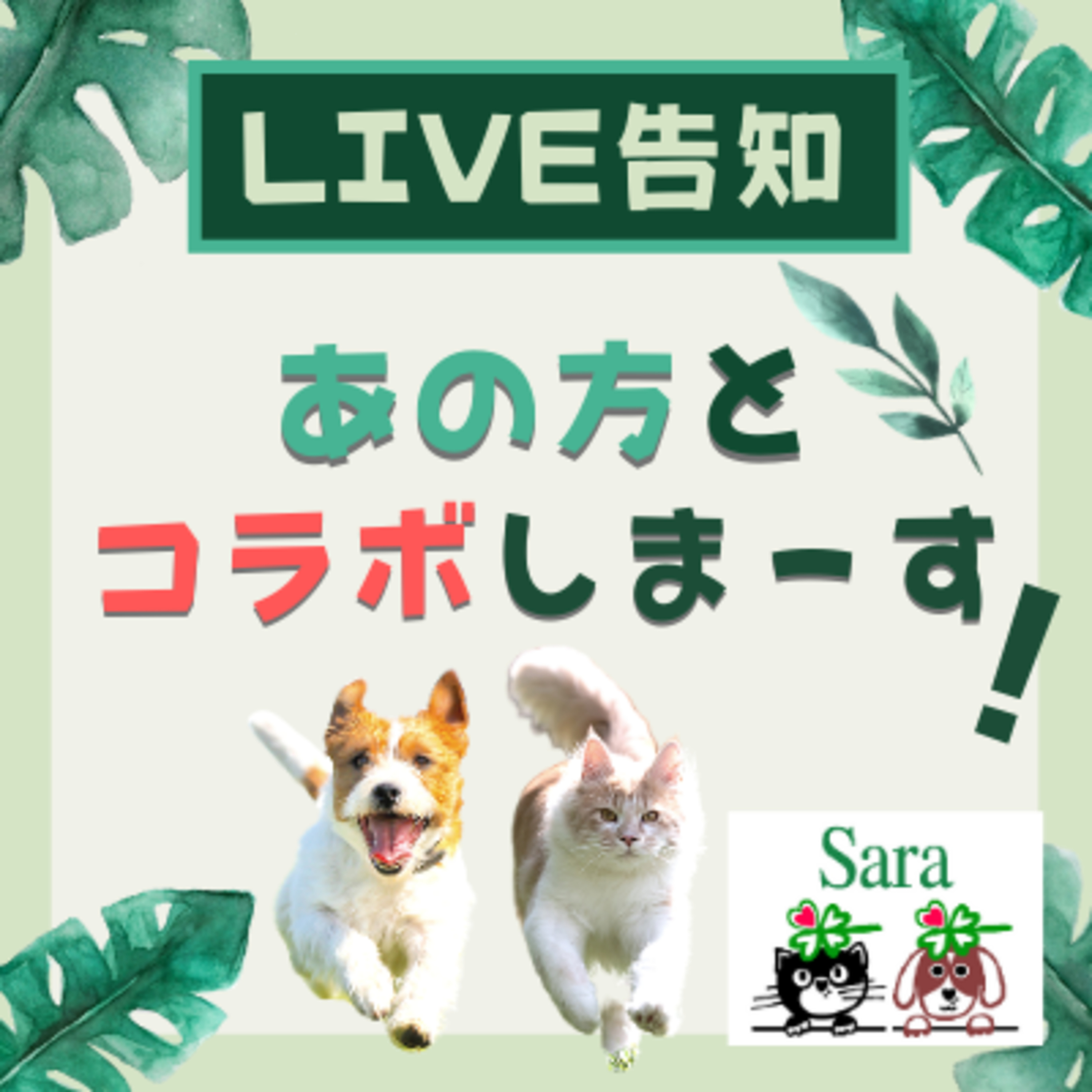 #169. 雑談：今月２７日夜１０時～あの人とコラボLIVEします！ episode artwork